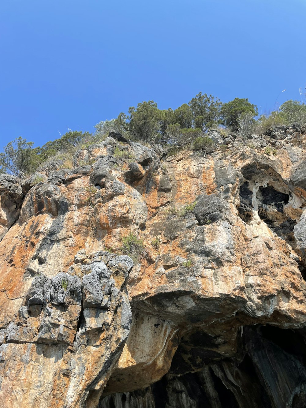 a rocky cliff with trees on it