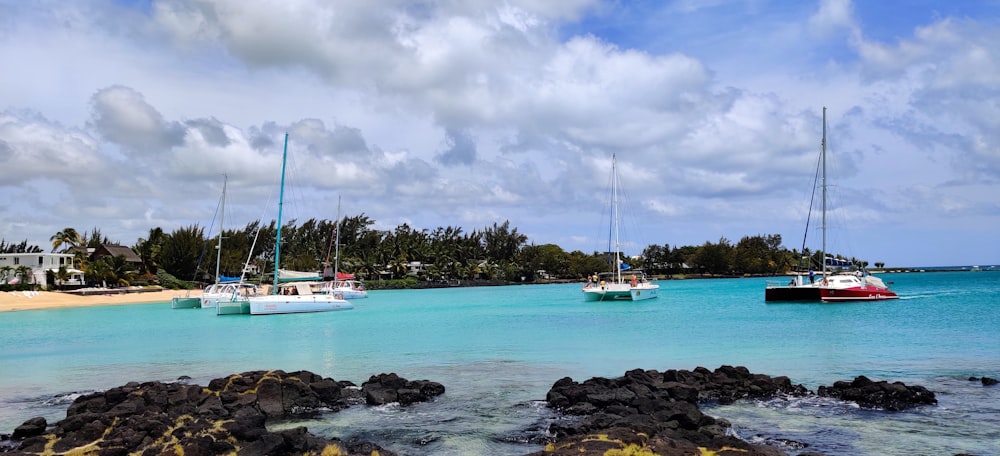 boats in the water