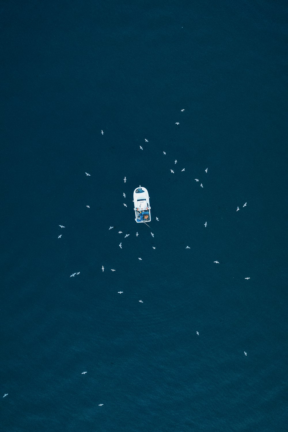 a boat in the water