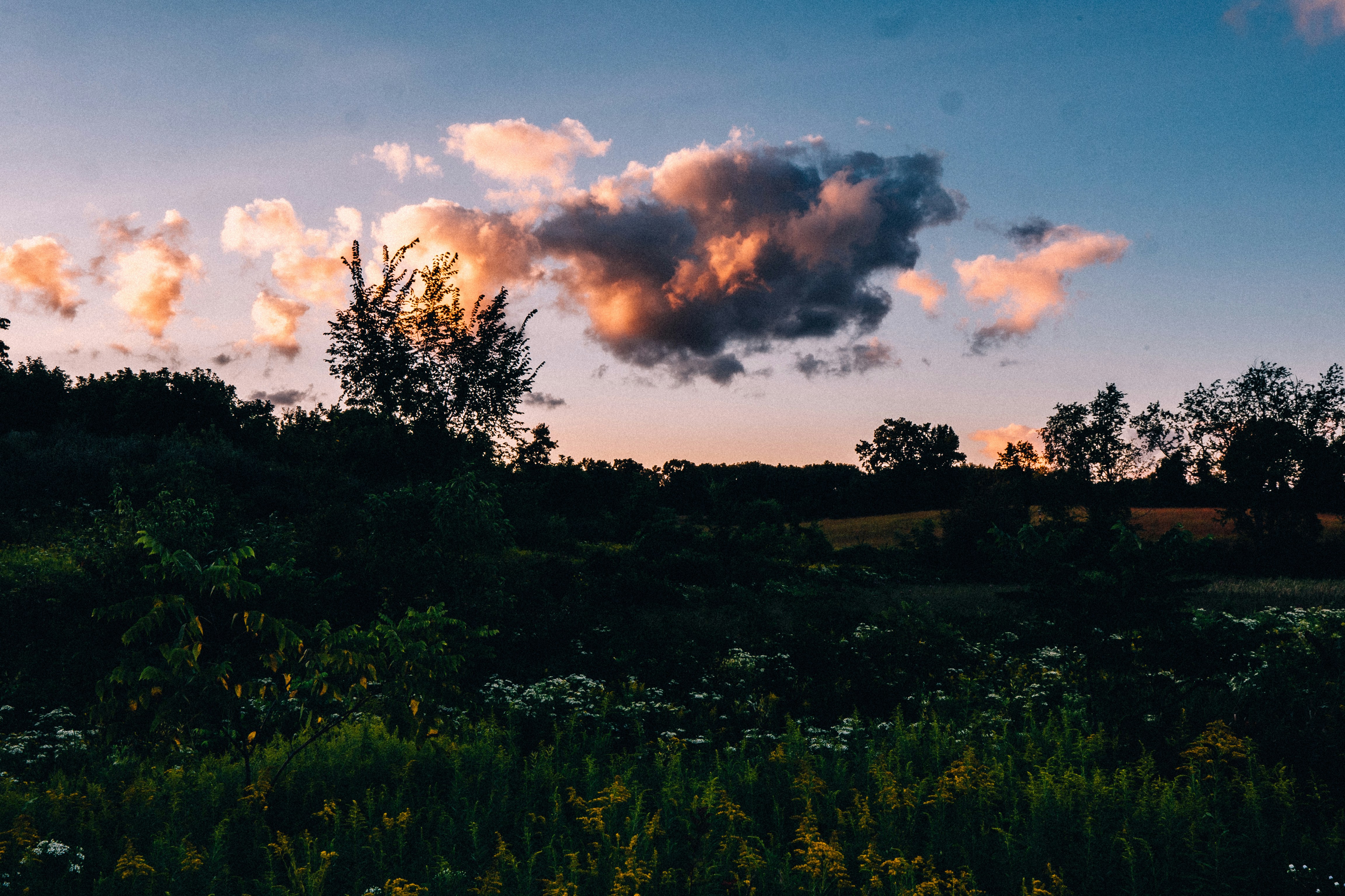 Photo by calebminear