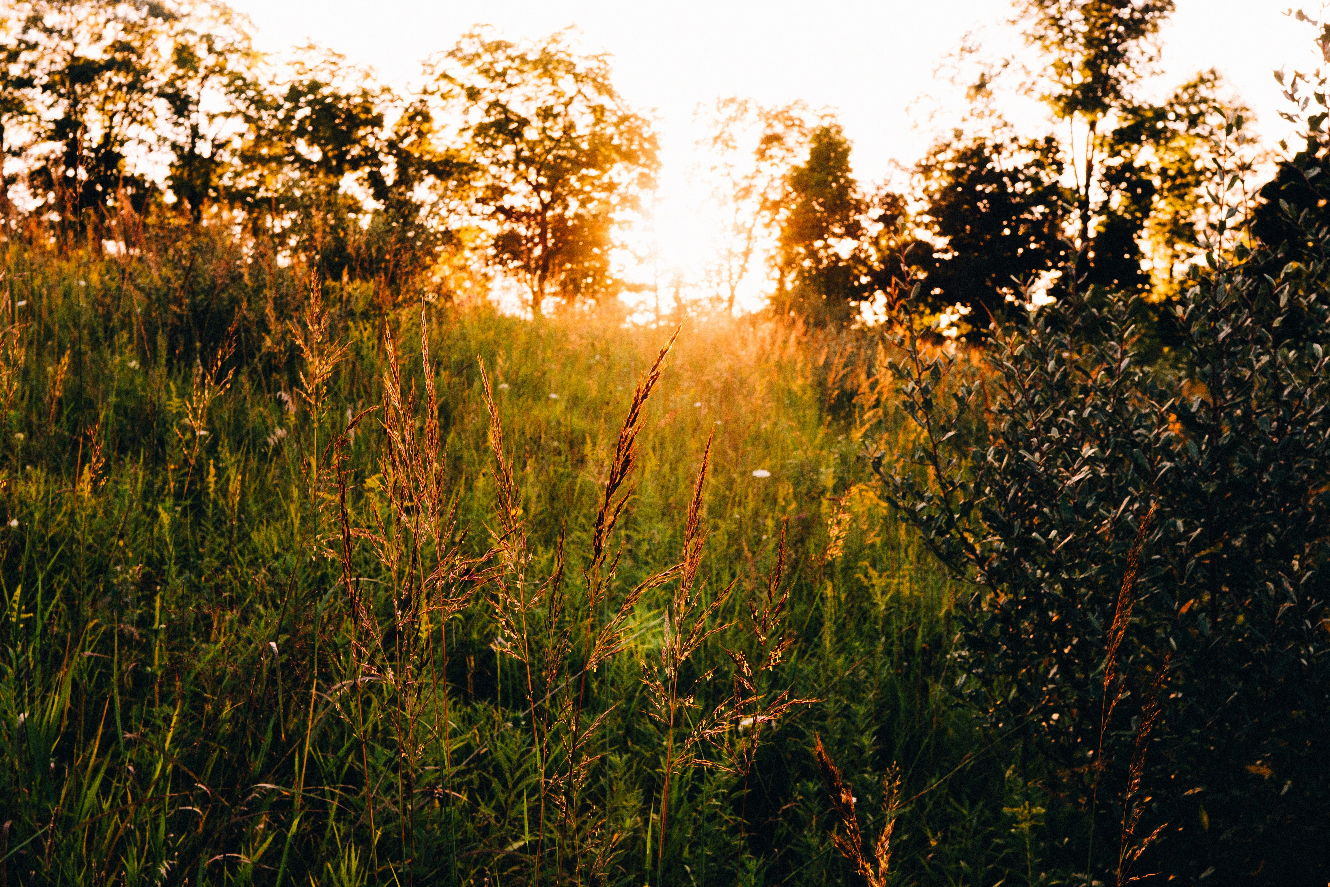 Photo by calebminear