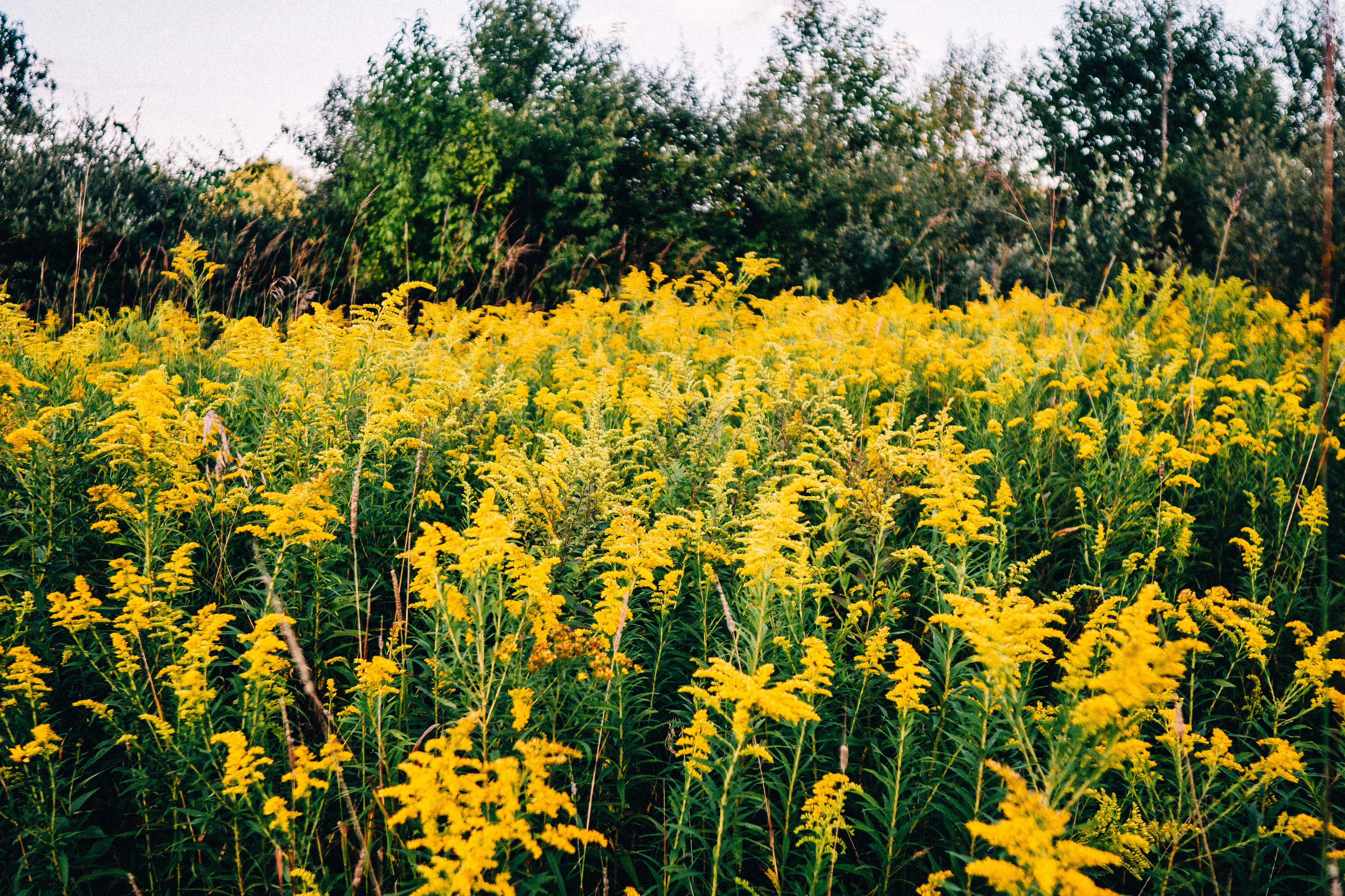 Photo by calebminear