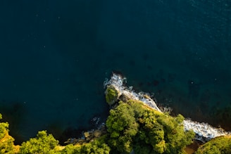 Aerial view of a lush green coastal landscape with dense vegetation along a rocky shoreline. Waves gently hit the rocks, creating a contrast between the vibrant green of the trees and the deep blue of the water.