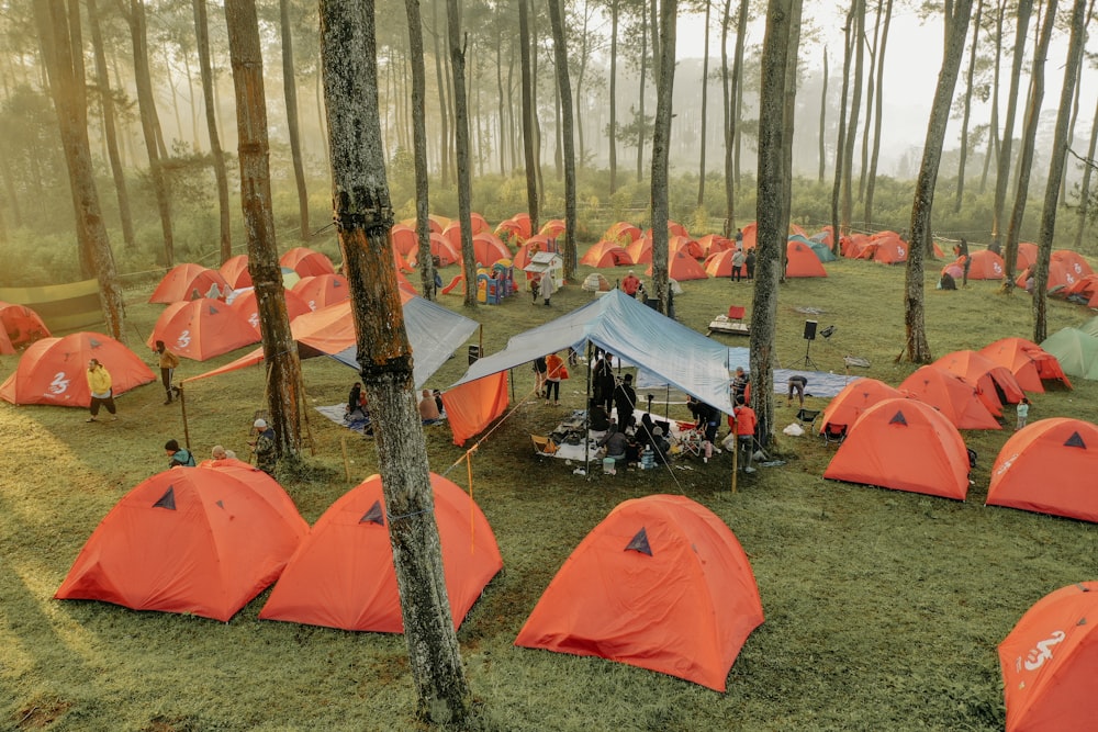 um grupo de tendas em um campo
