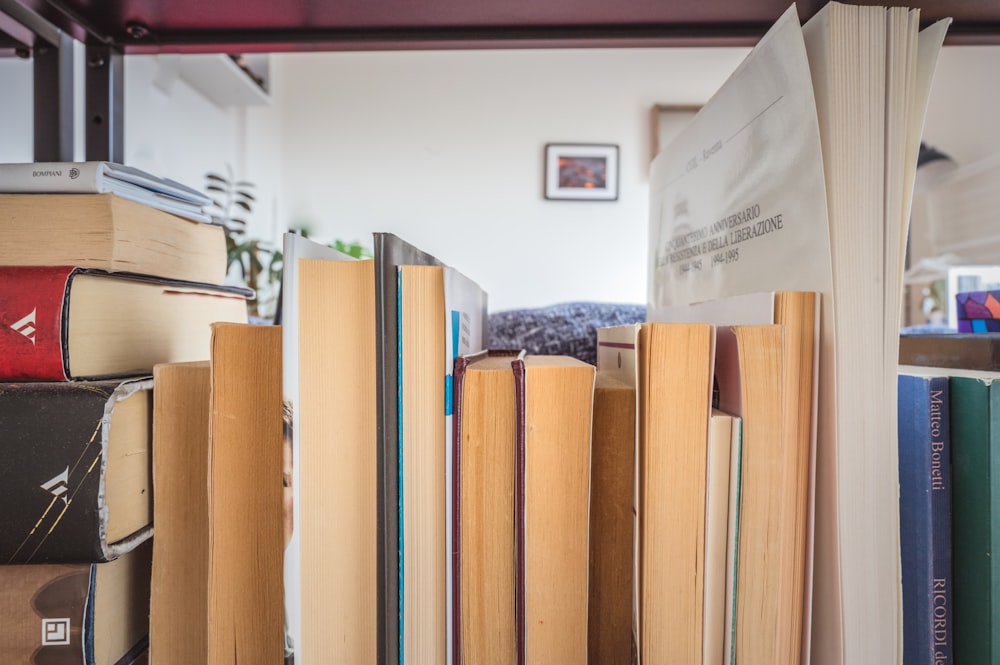 a group of books on a shelf