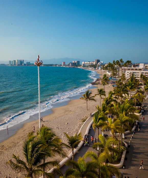 a beach with palm trees and a body of water