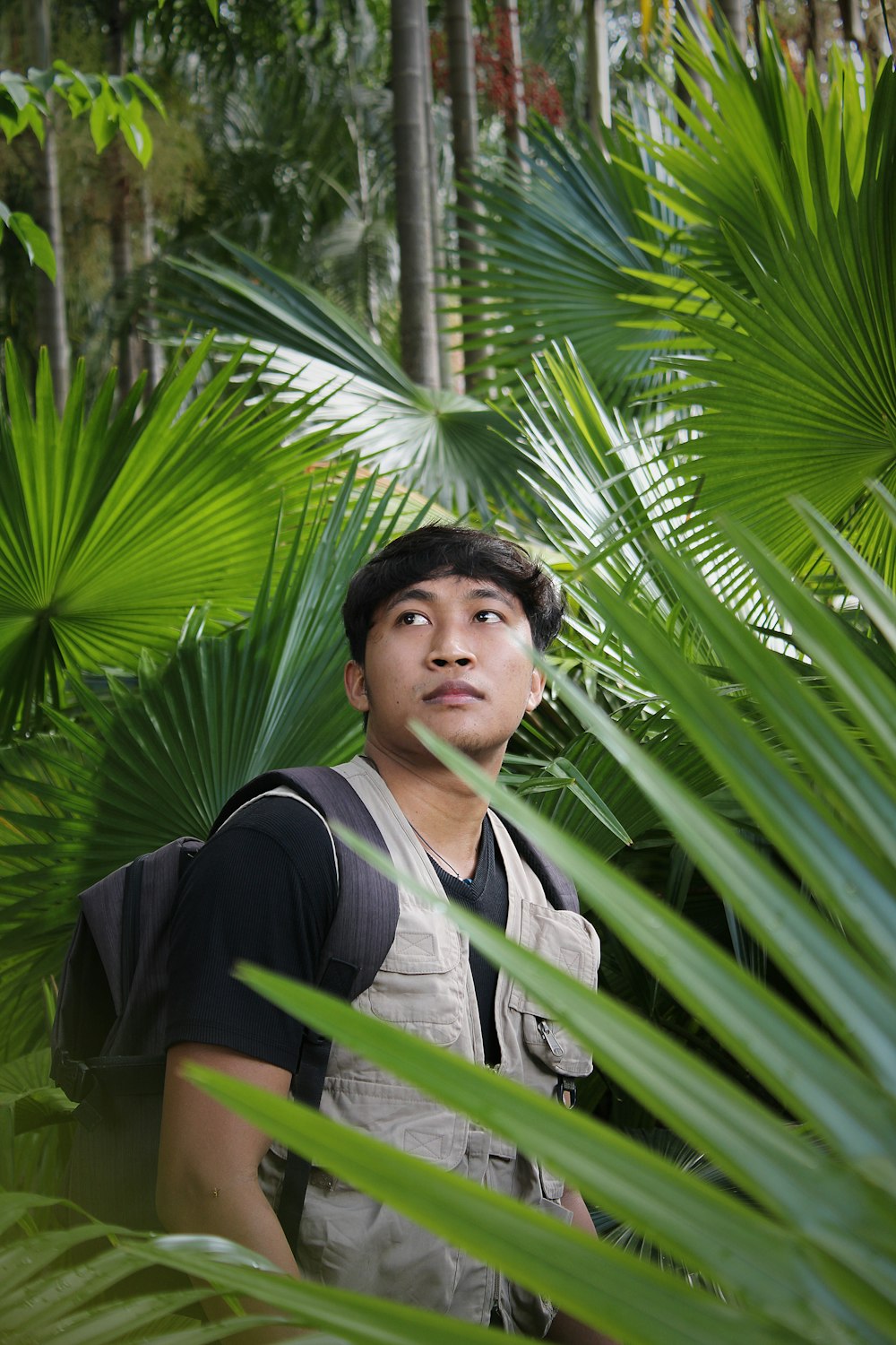 a person standing in front of a palm tree