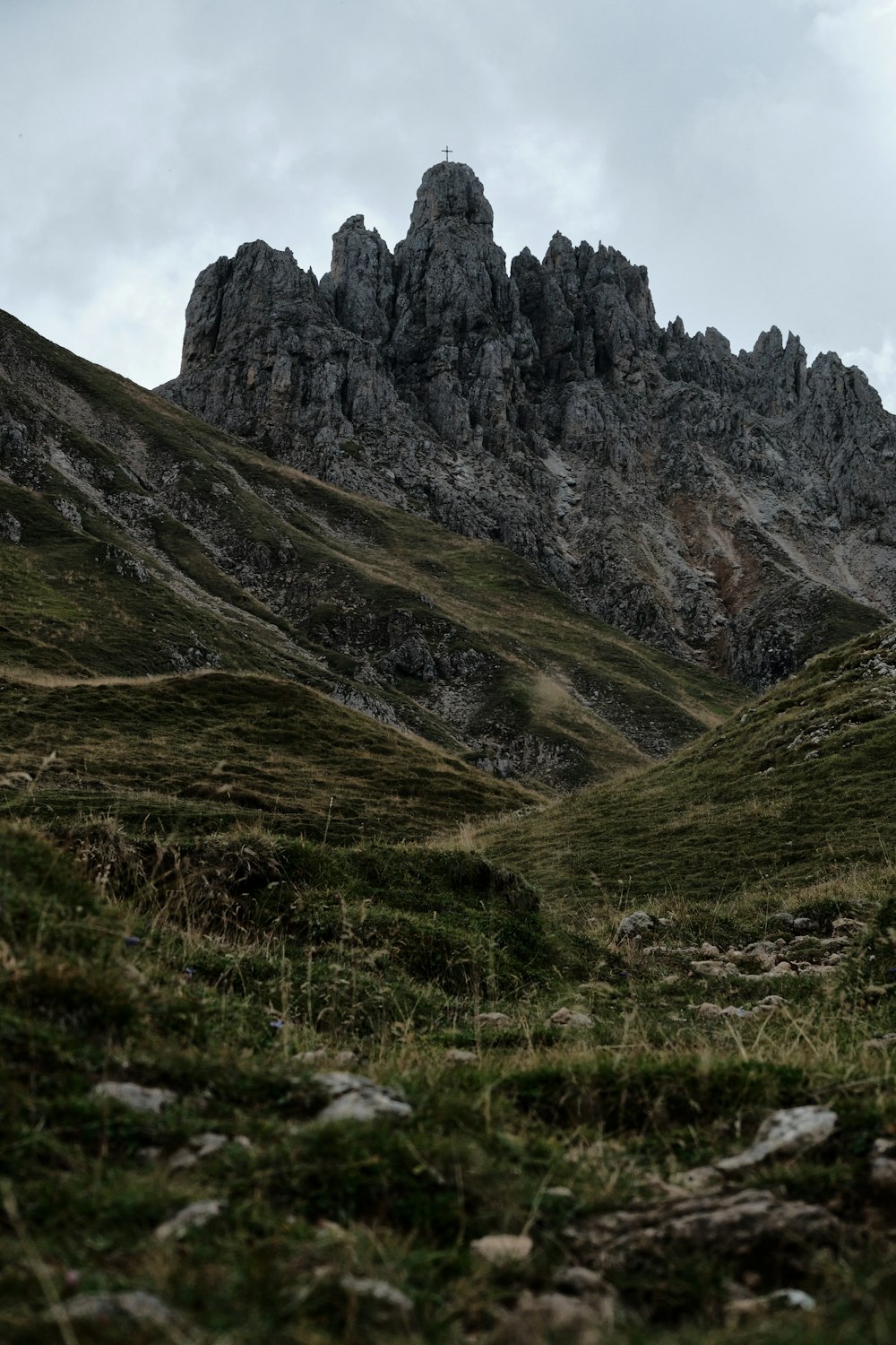 una montagna rocciosa con erba e alberi