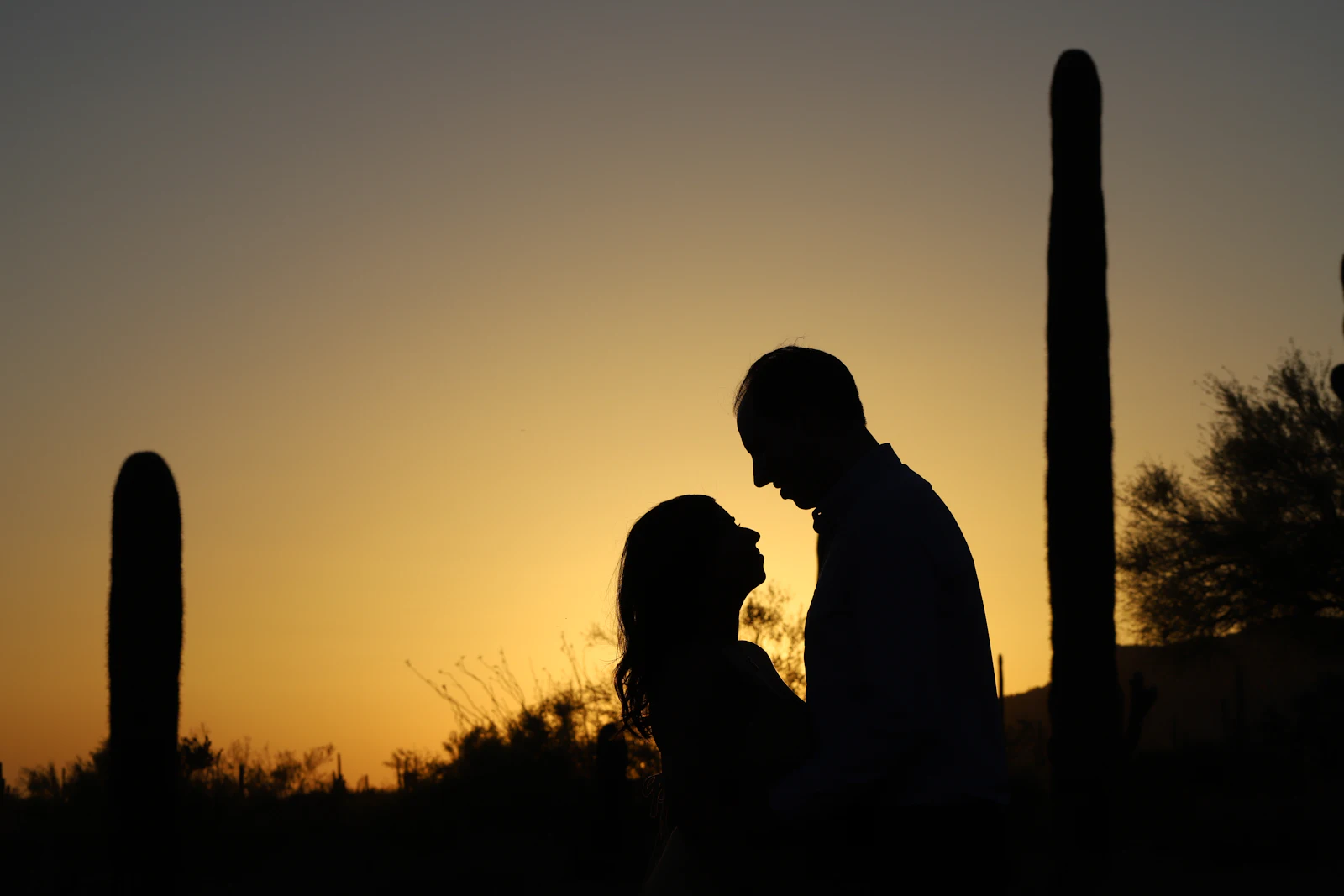 Couple silhouetted between saguaros at sunset near Scottsdale
