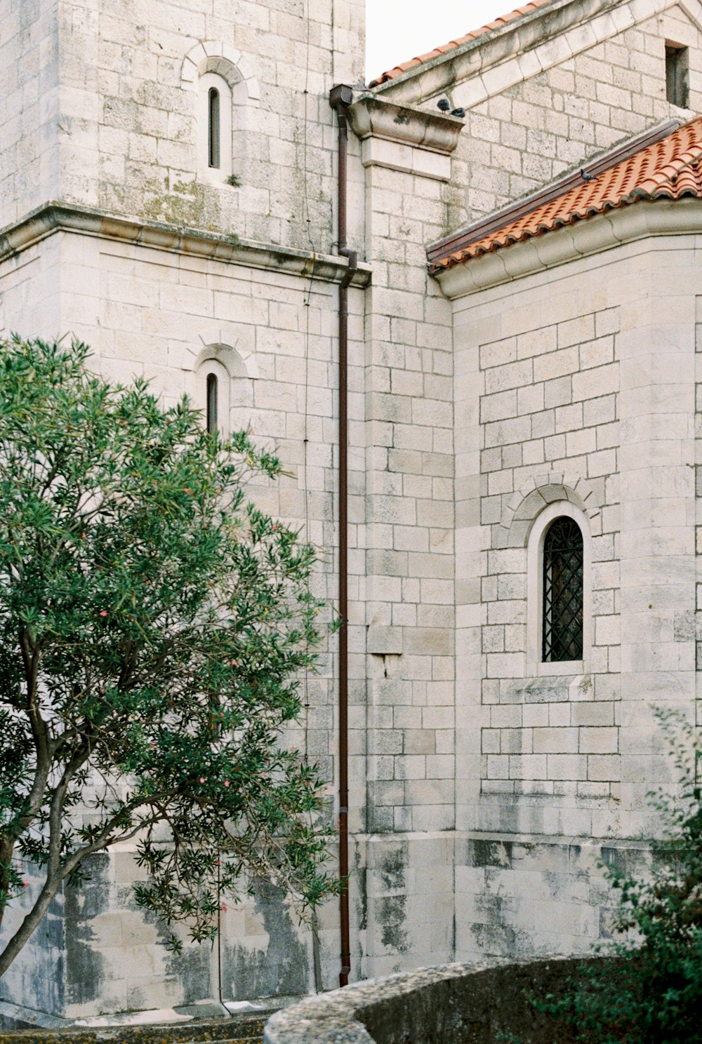 a tree next to a building