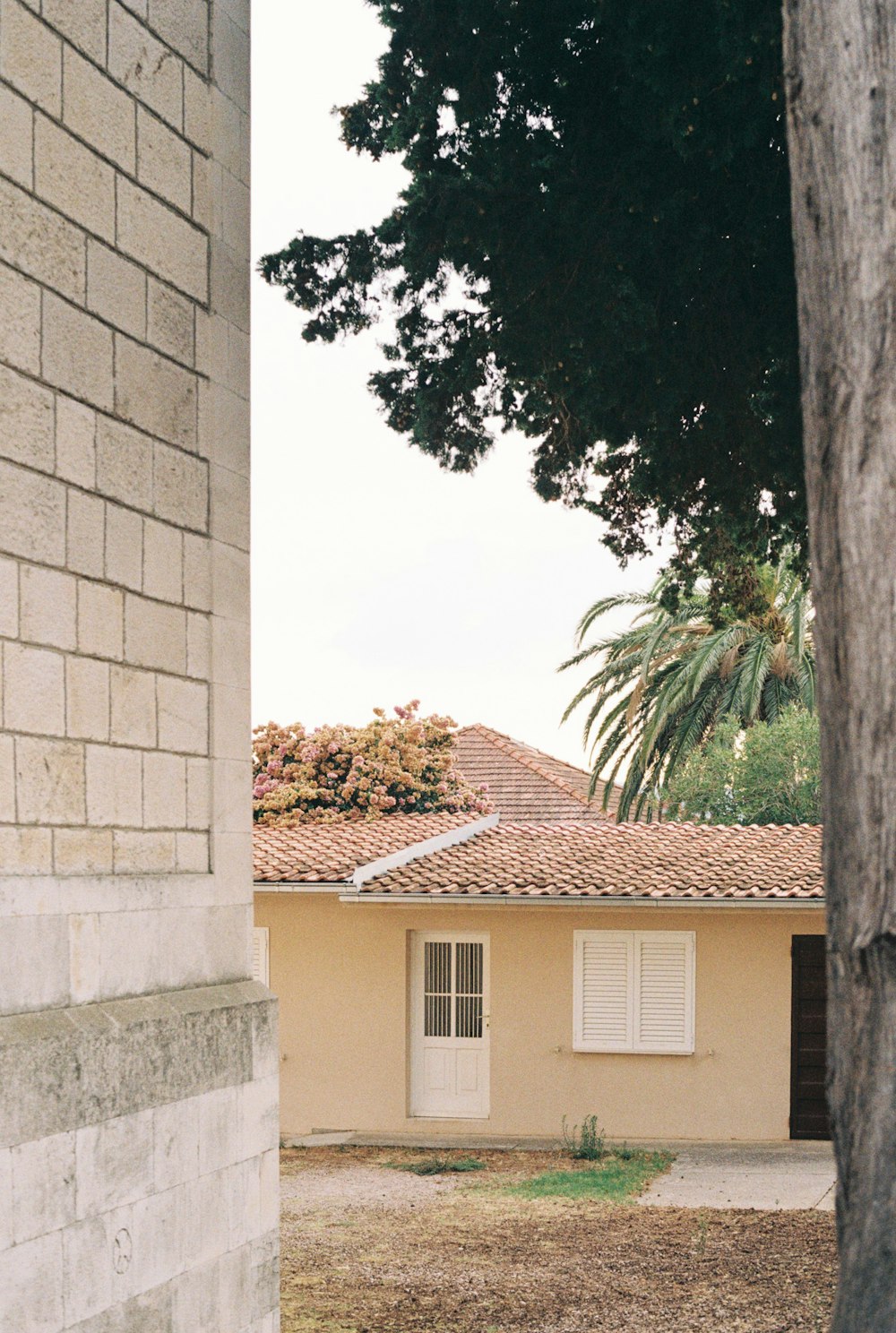 a building with a tree in the front