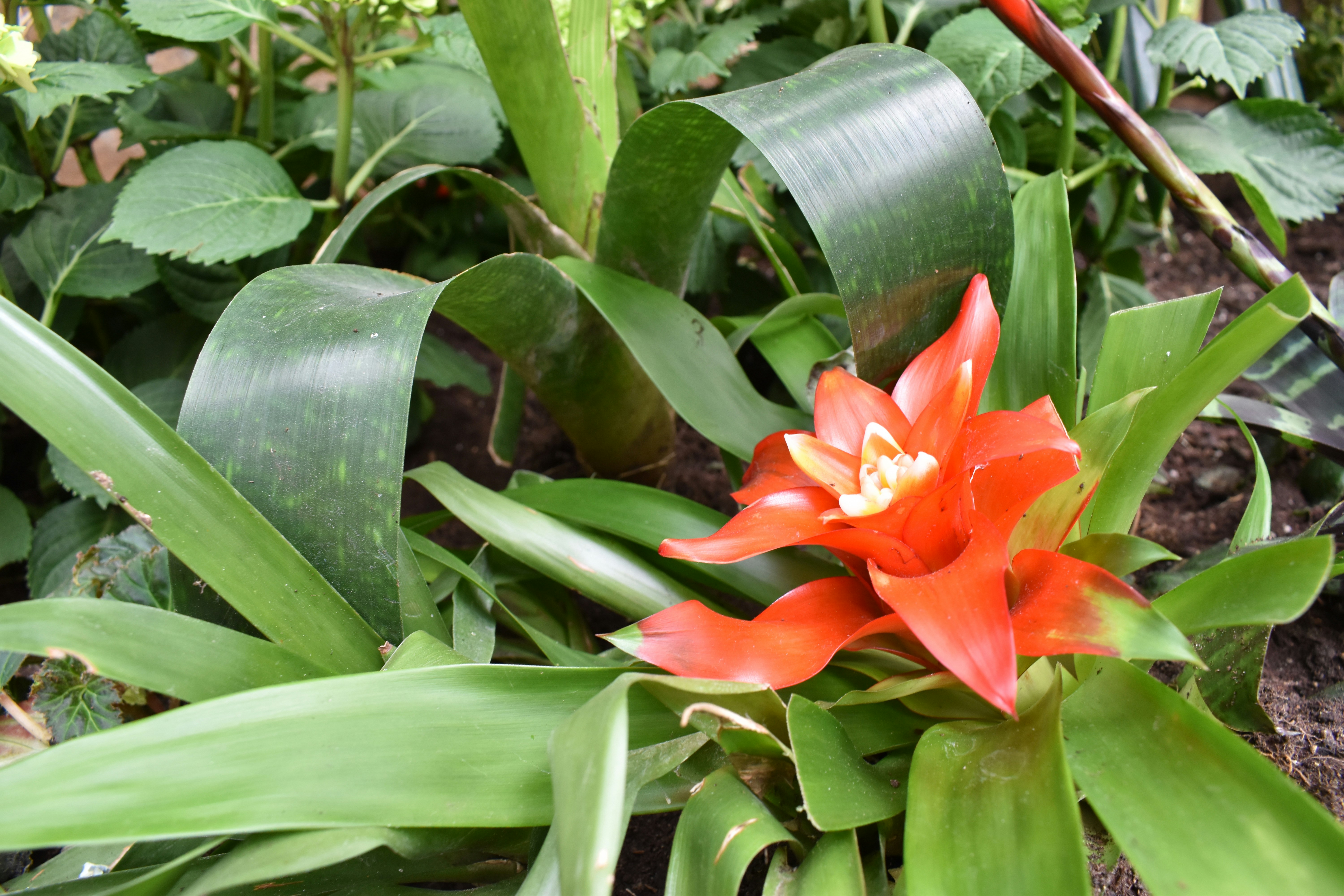 Photo by bo_schoonejans_photography