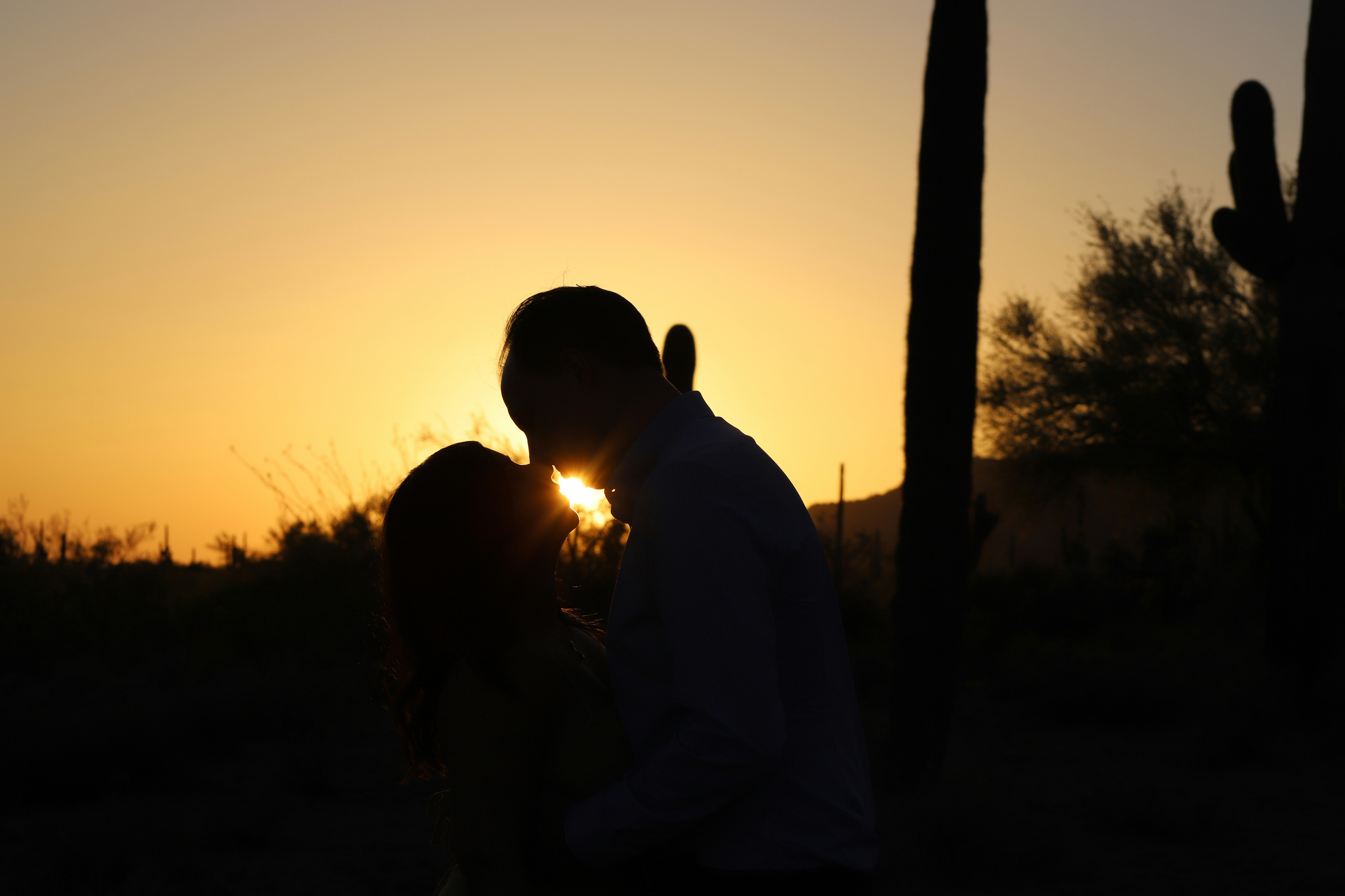 a person and a dog at sunset