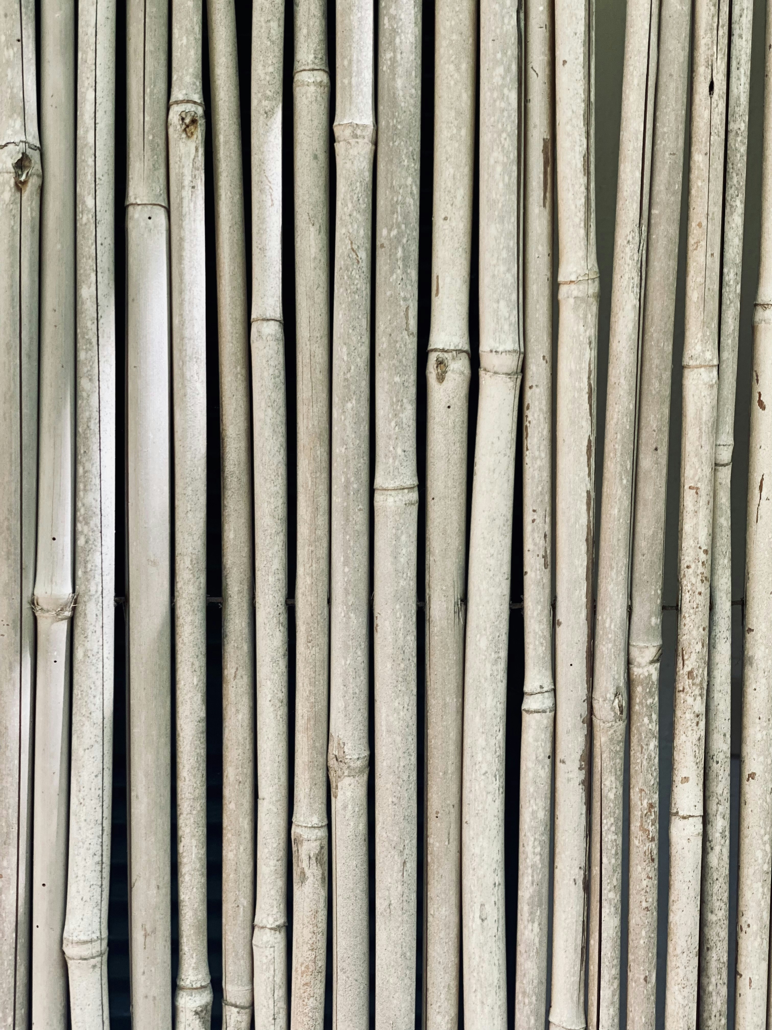 bamboo pattern Napule