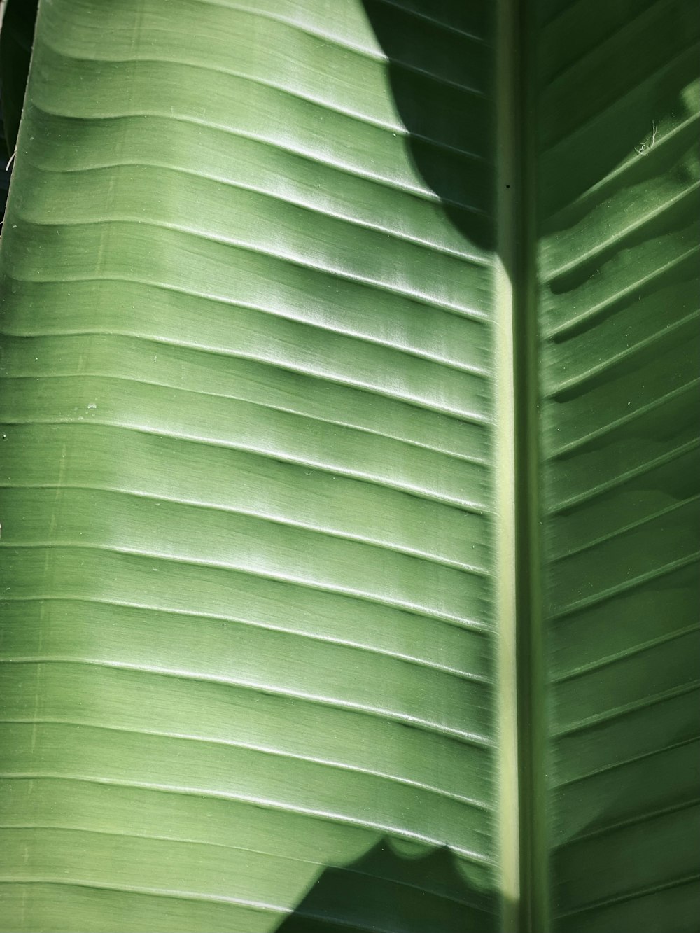 a close up of a green curtain
