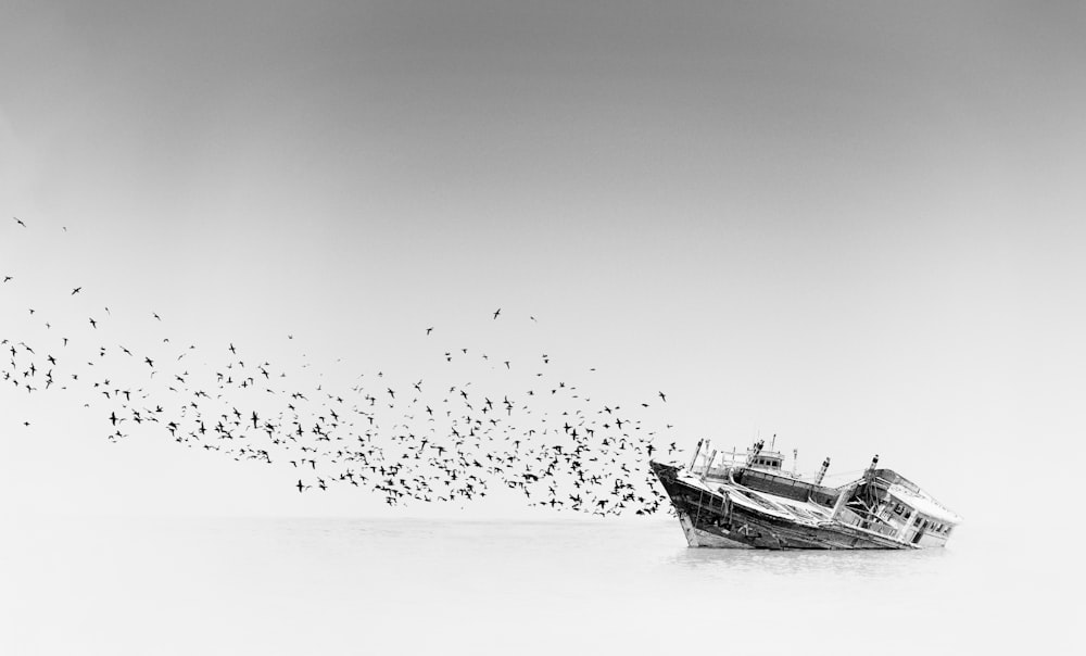 a boat in the water with birds flying around