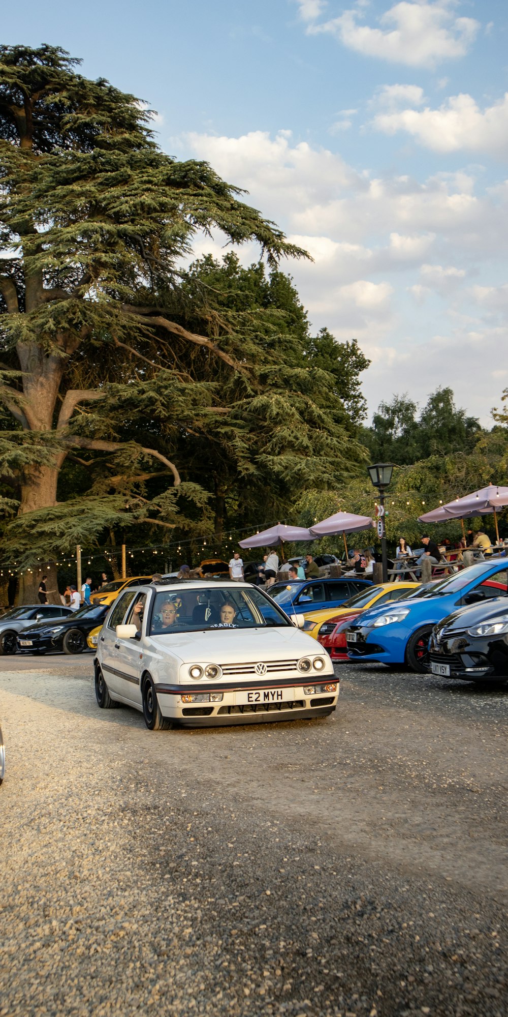 a group of cars parked next to a tree