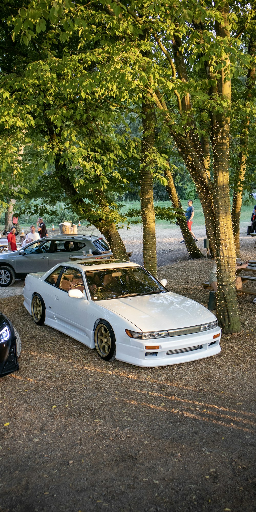 a white car parked under a tree