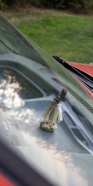 A small hula dancer figurine is placed on the dashboard of a car. The figurine is dressed in a traditional skirt and lei. The car's interior is partially visible through the windshield, which reflects the sky and surrounding trees. In the background, grassy terrain is seen.