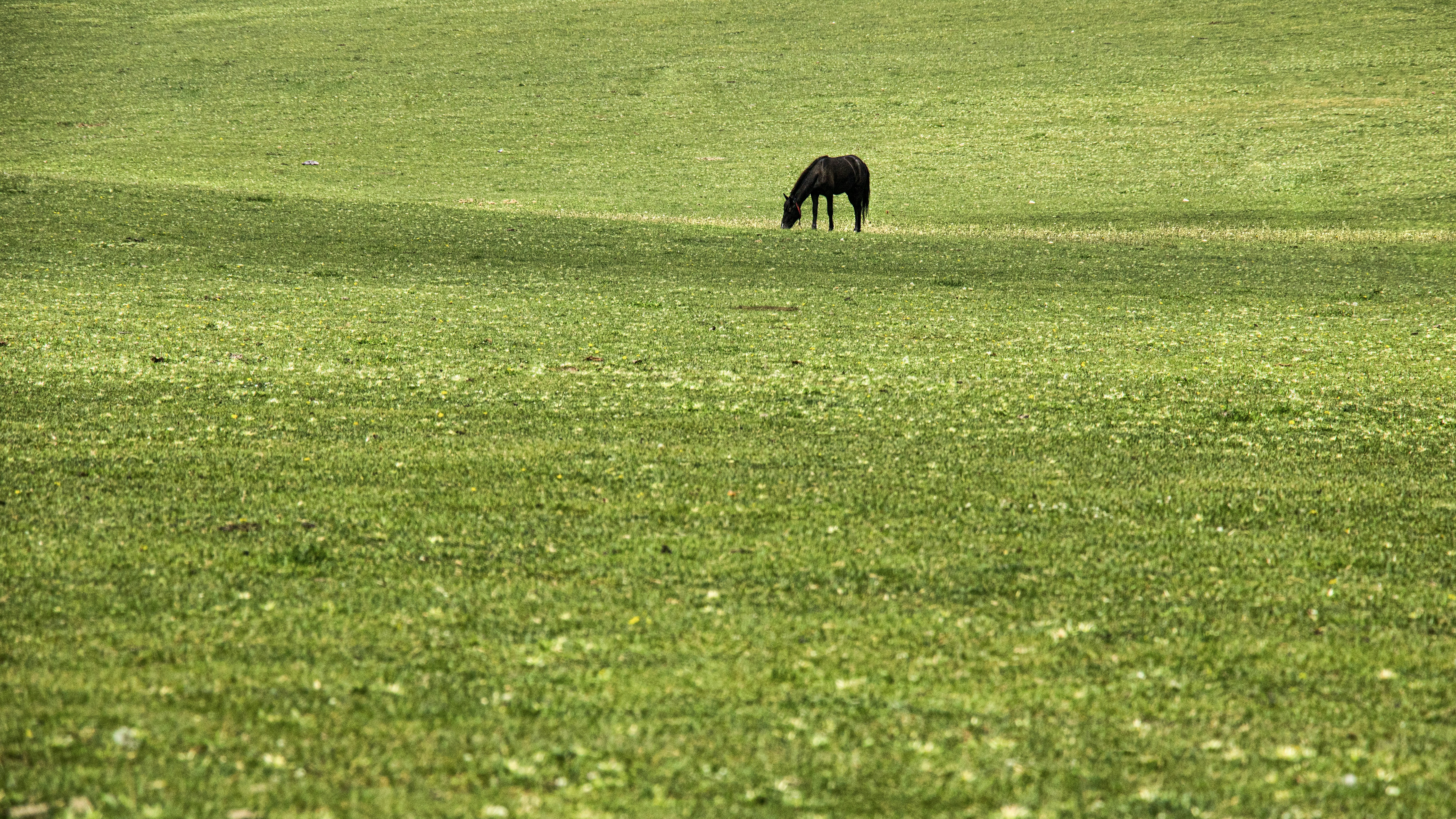 Photo by marjantaghipour