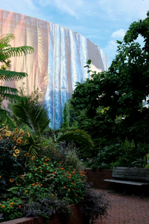 a waterfall in a forest
