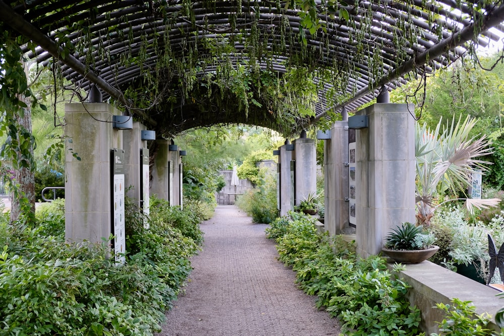 a walkway with plants and a covered walkway
