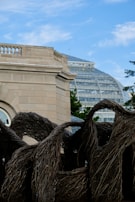 A detailed architectural scene featuring a historic building with textured walls and classical design elements, alongside an intricate, interwoven sculpture made from natural materials. In the background, a large, glass-domed conservatory peeks out, partially obscured by tall trees and the sculpture.