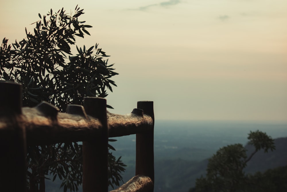 a wooden fence overlooking a body of water