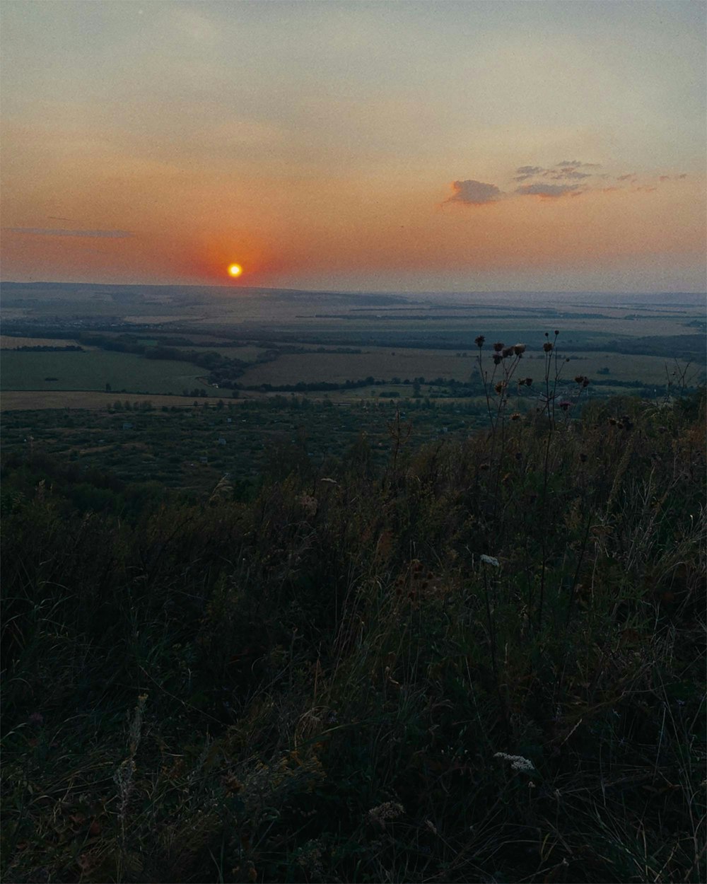 a person standing on top of a grass covered field