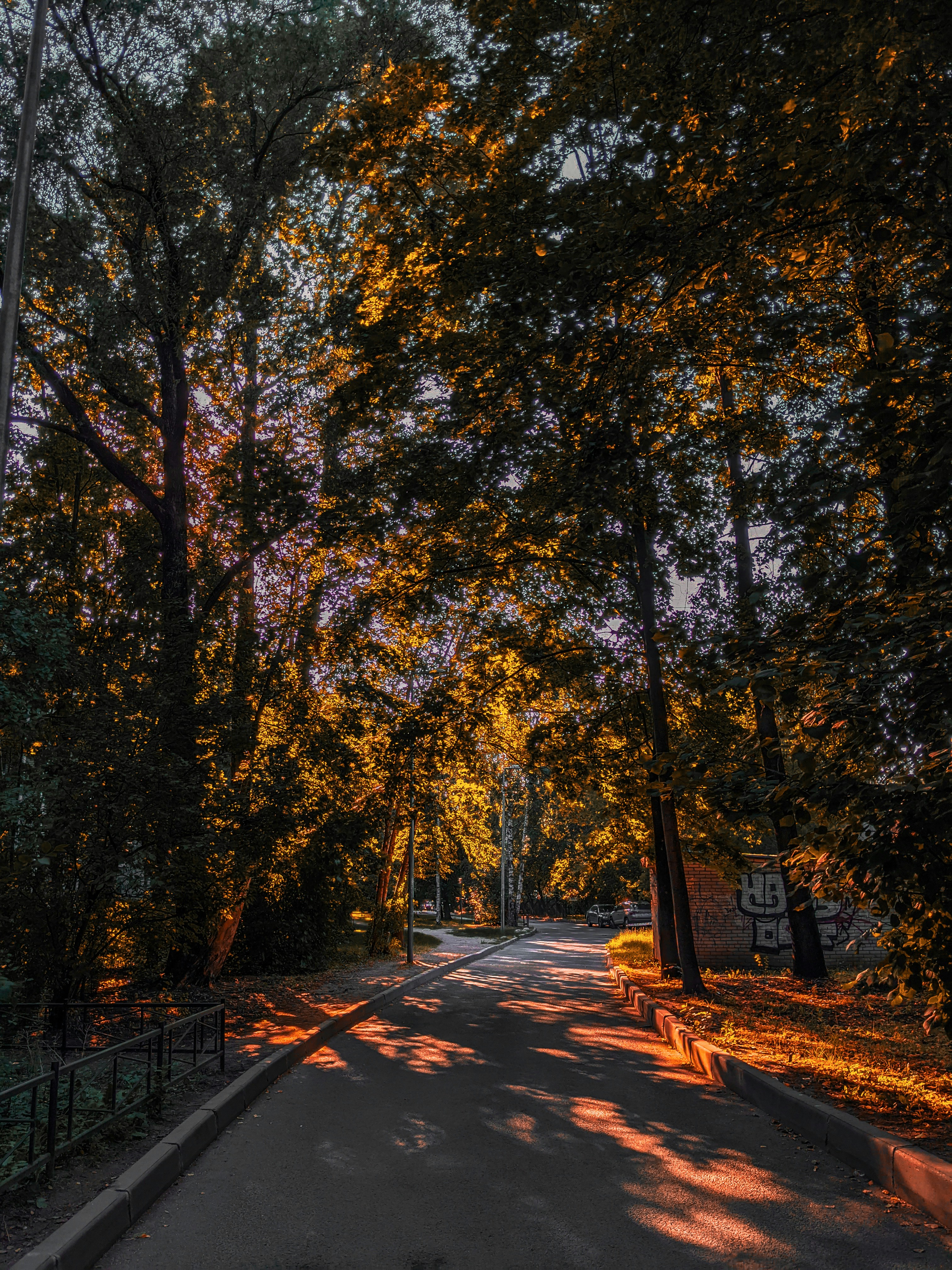 Photo by darkpro1337