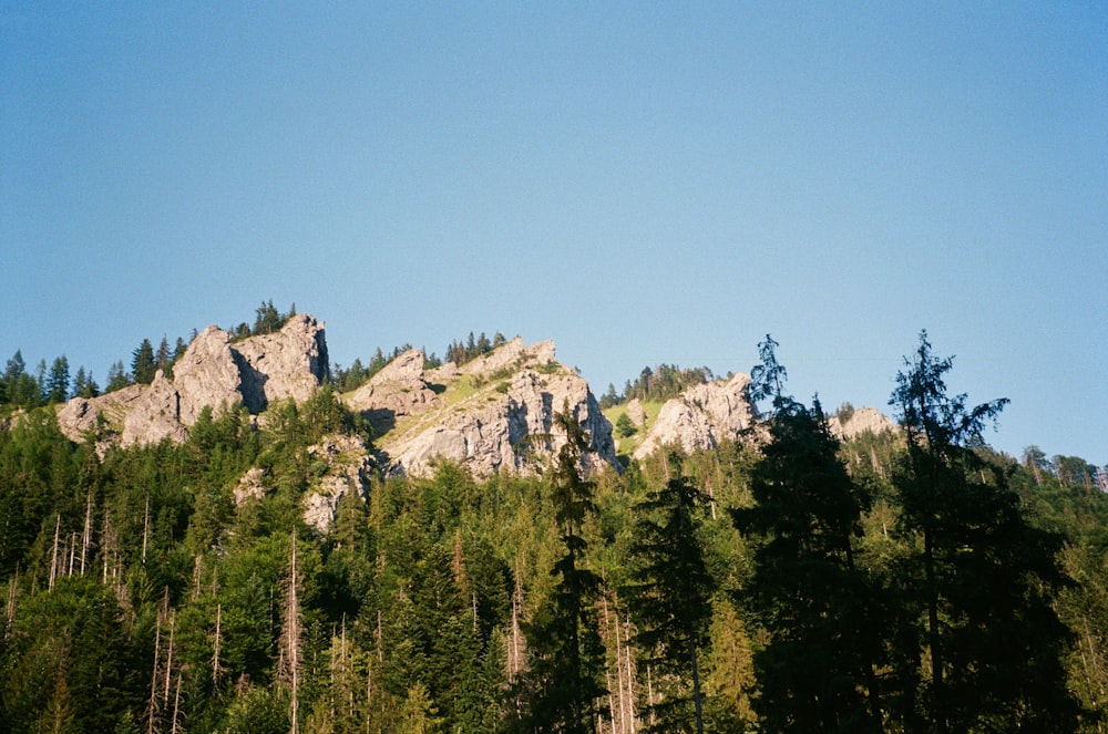 a rocky mountain with trees