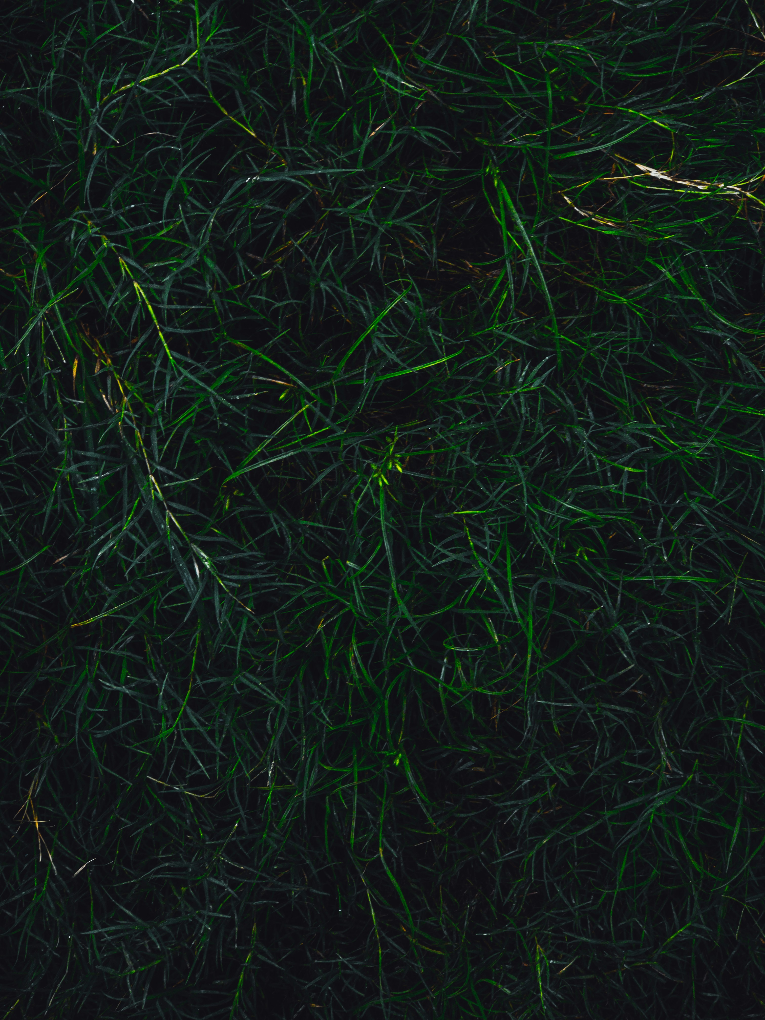 Photo by amritanshdubey