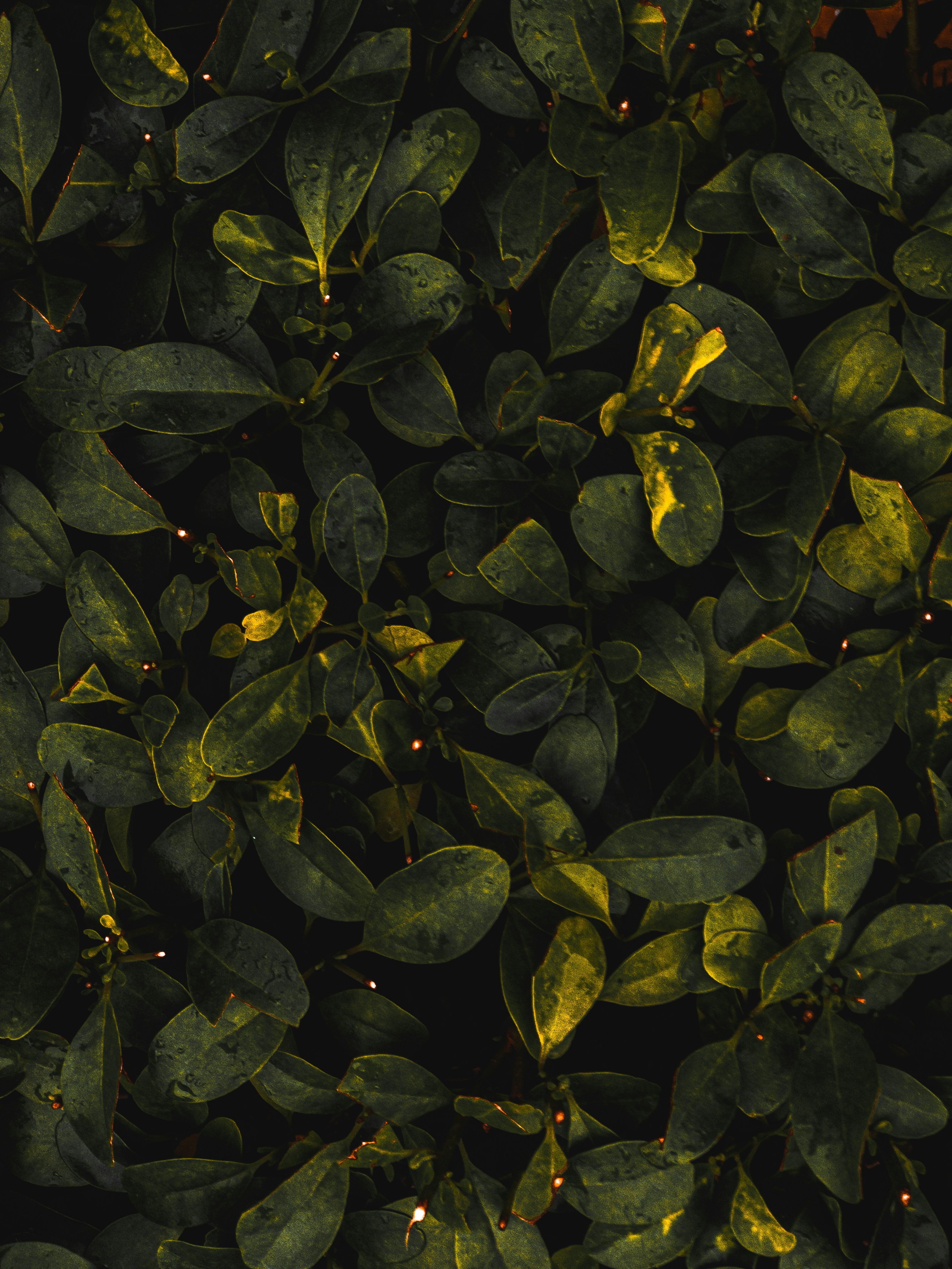 Photo by amritanshdubey