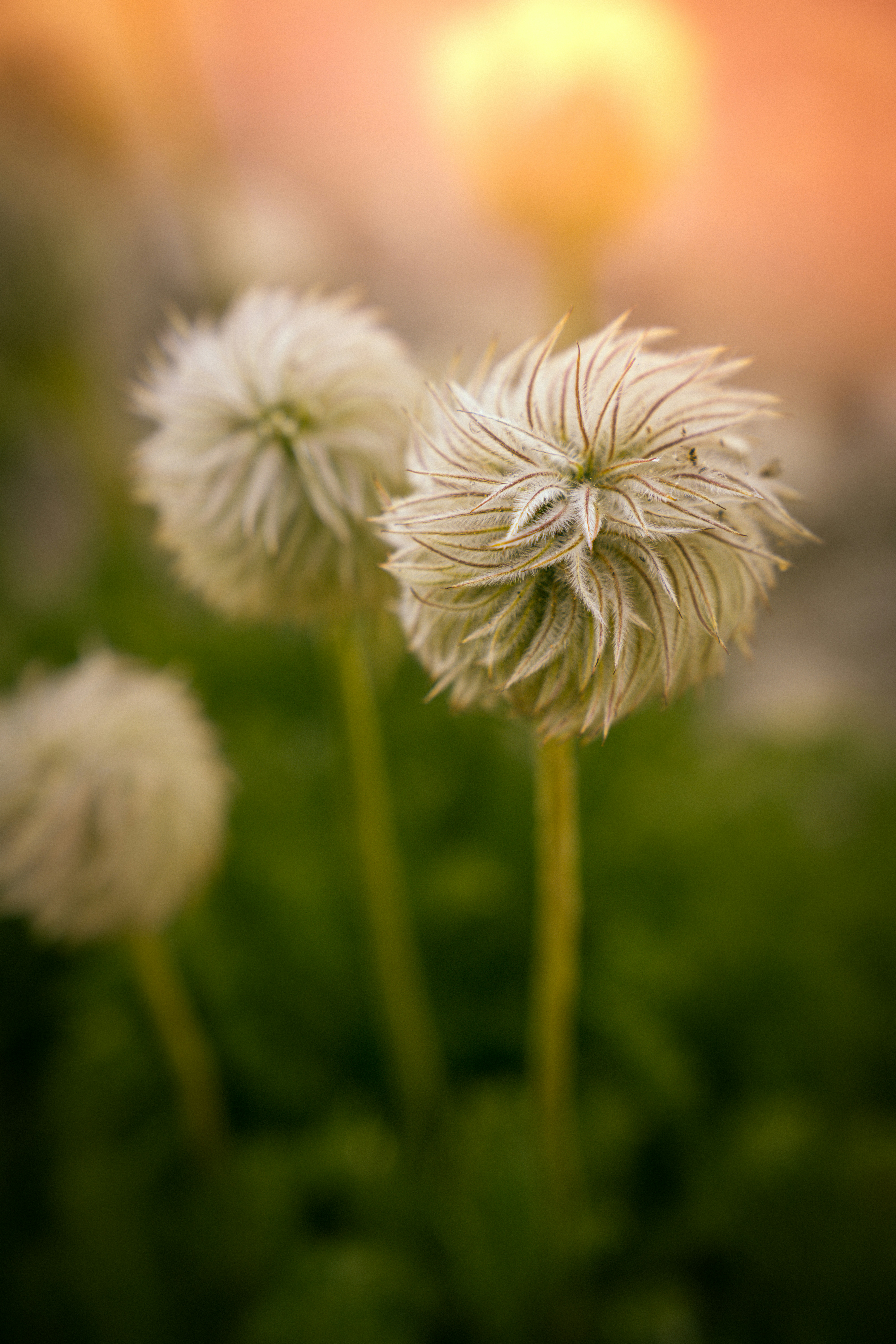 Photo by happy_pixel