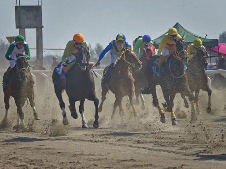 A vibrant horse race in full action with jockeys urging their mounts forward under a clear sky.
