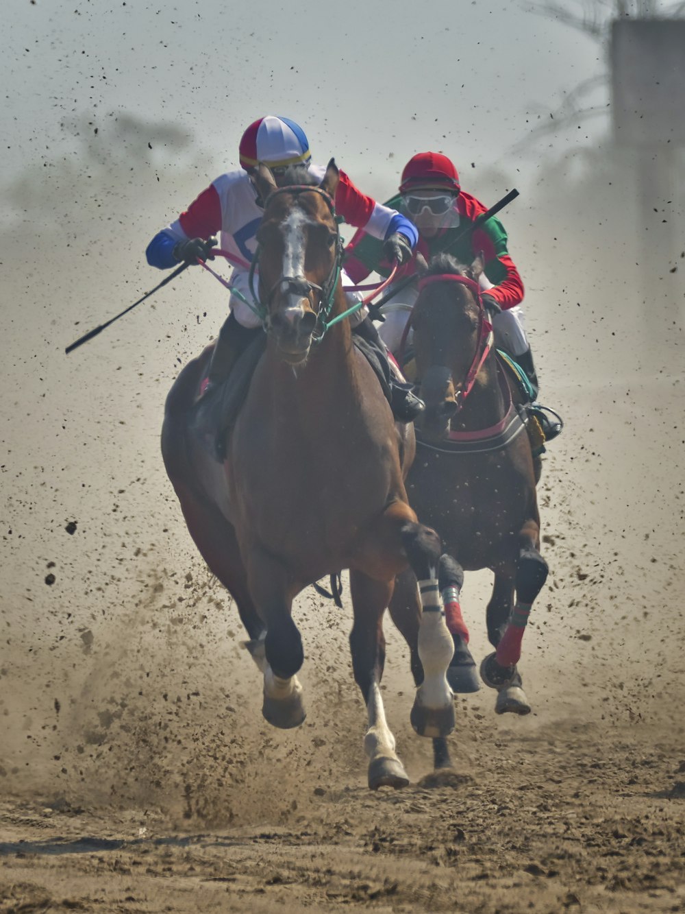 two people riding horses