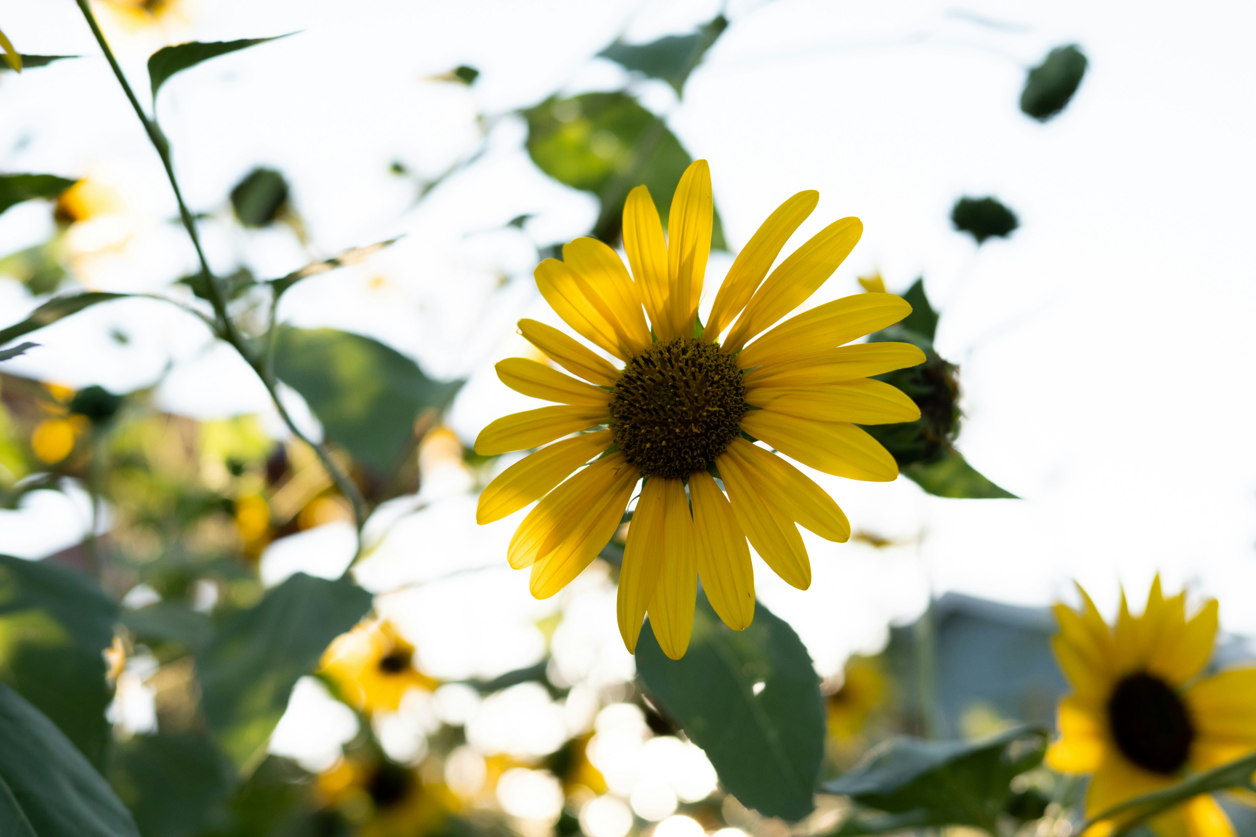 Photo by missmeg_mac