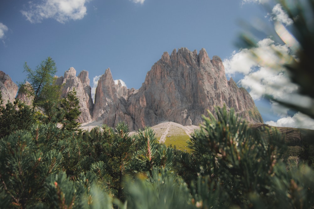 a rocky mountain with trees in front of it