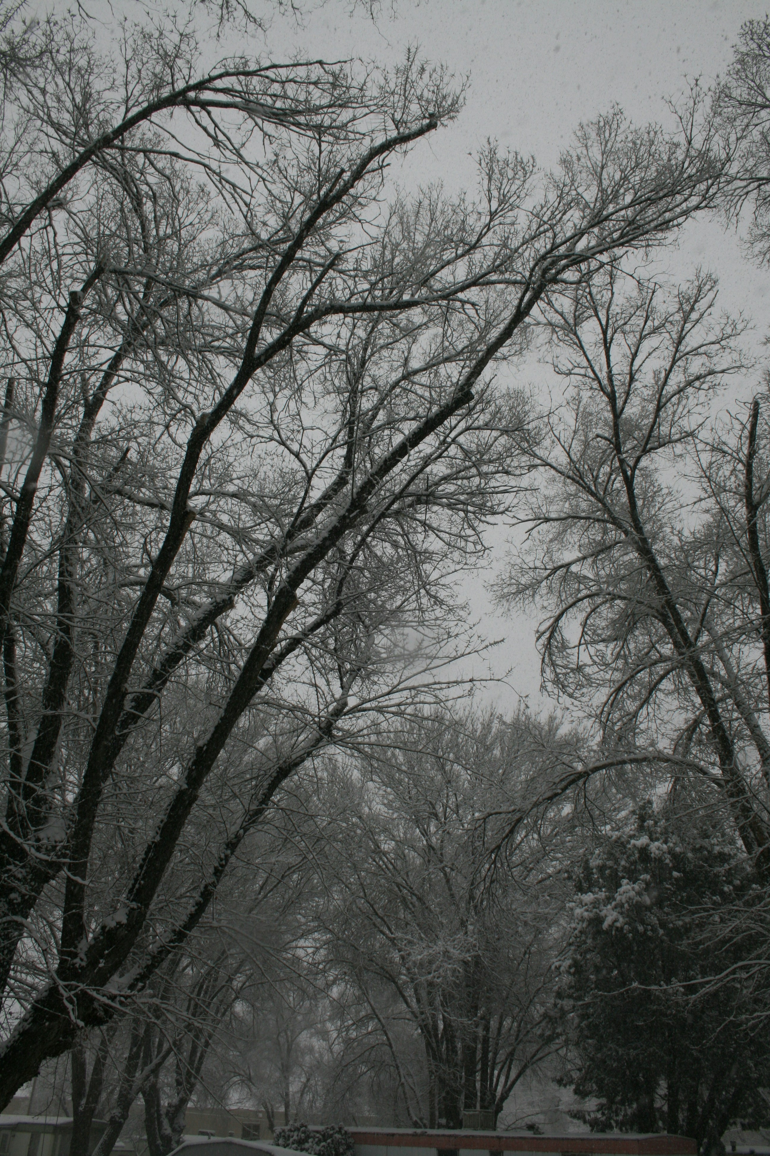 Photo by crystalwizard