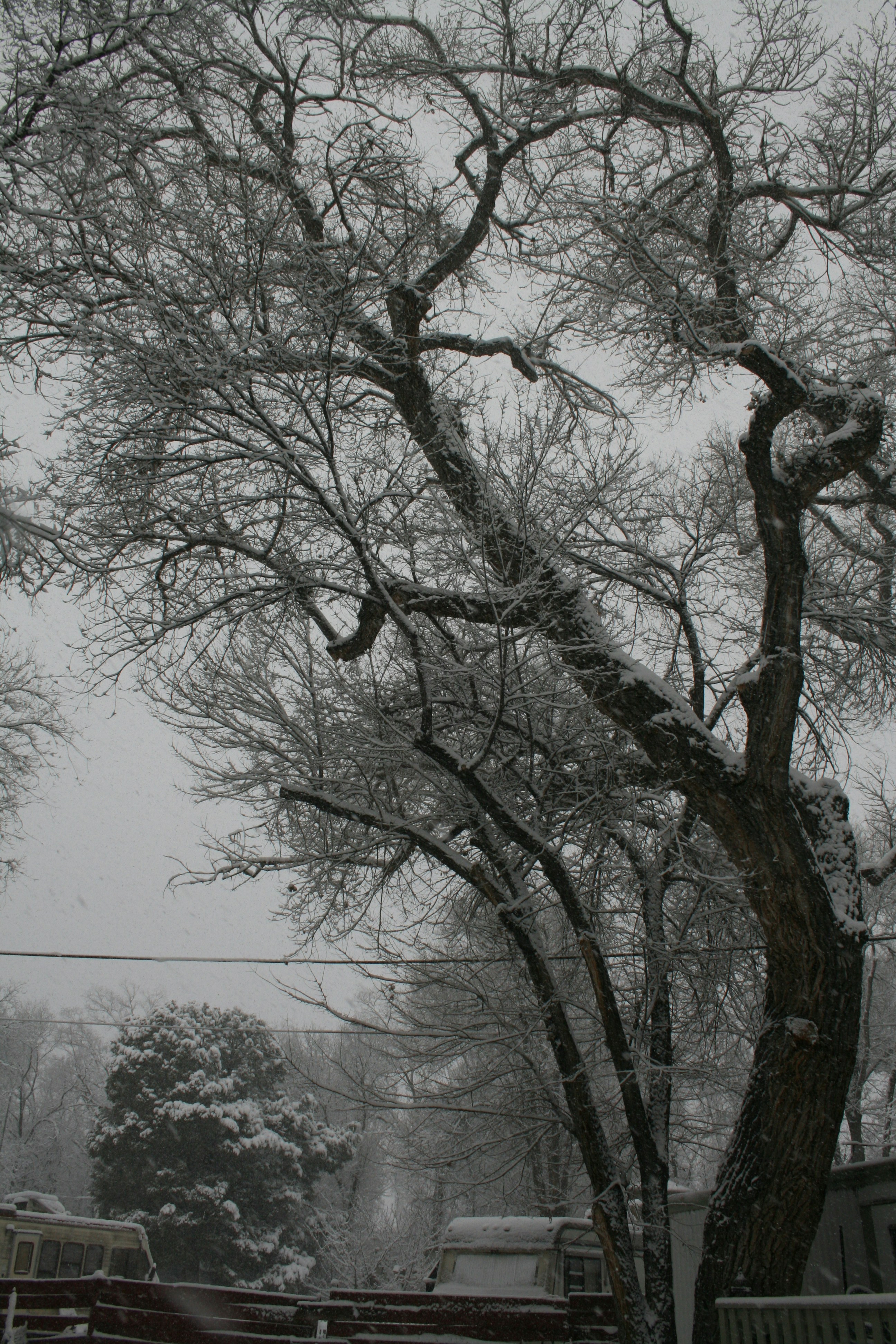 Photo by crystalwizard