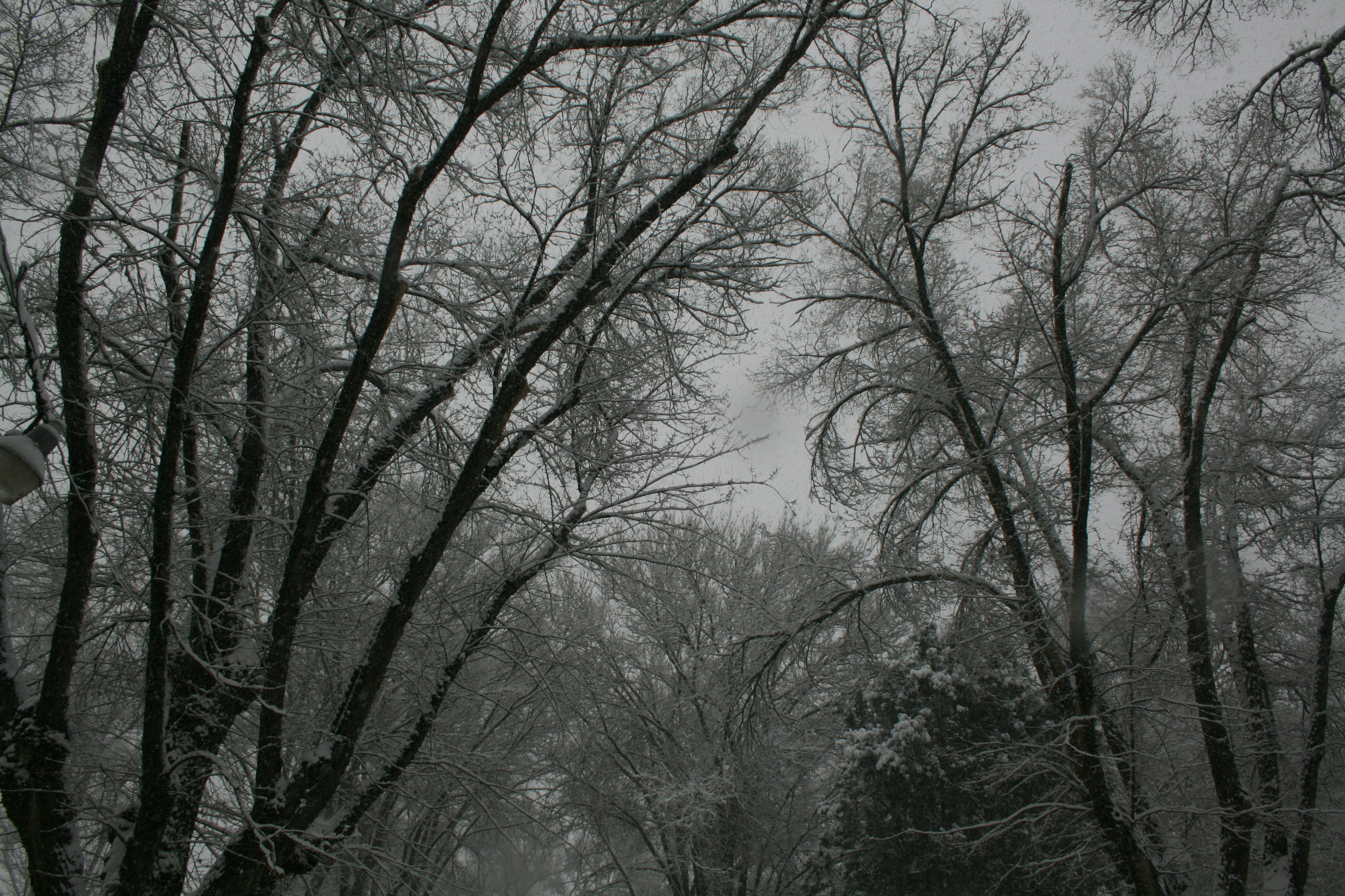 Photo by crystalwizard