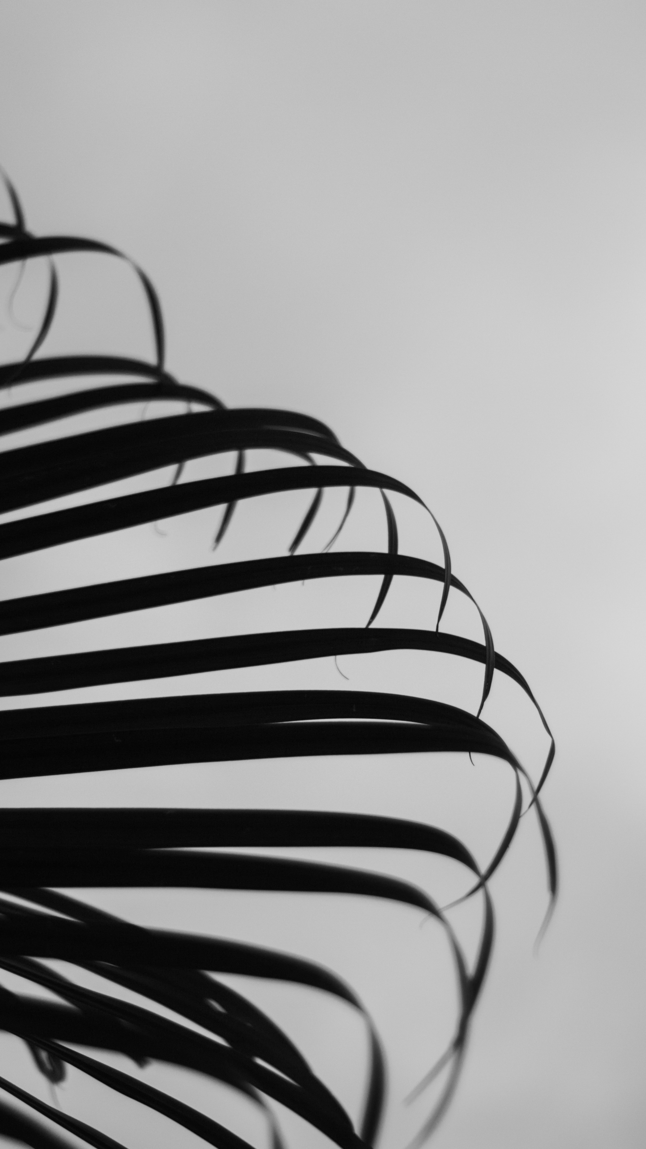 Photo by saintatelier