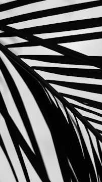 Modern wall art blending traditional Gujarati motifs with clean lines.