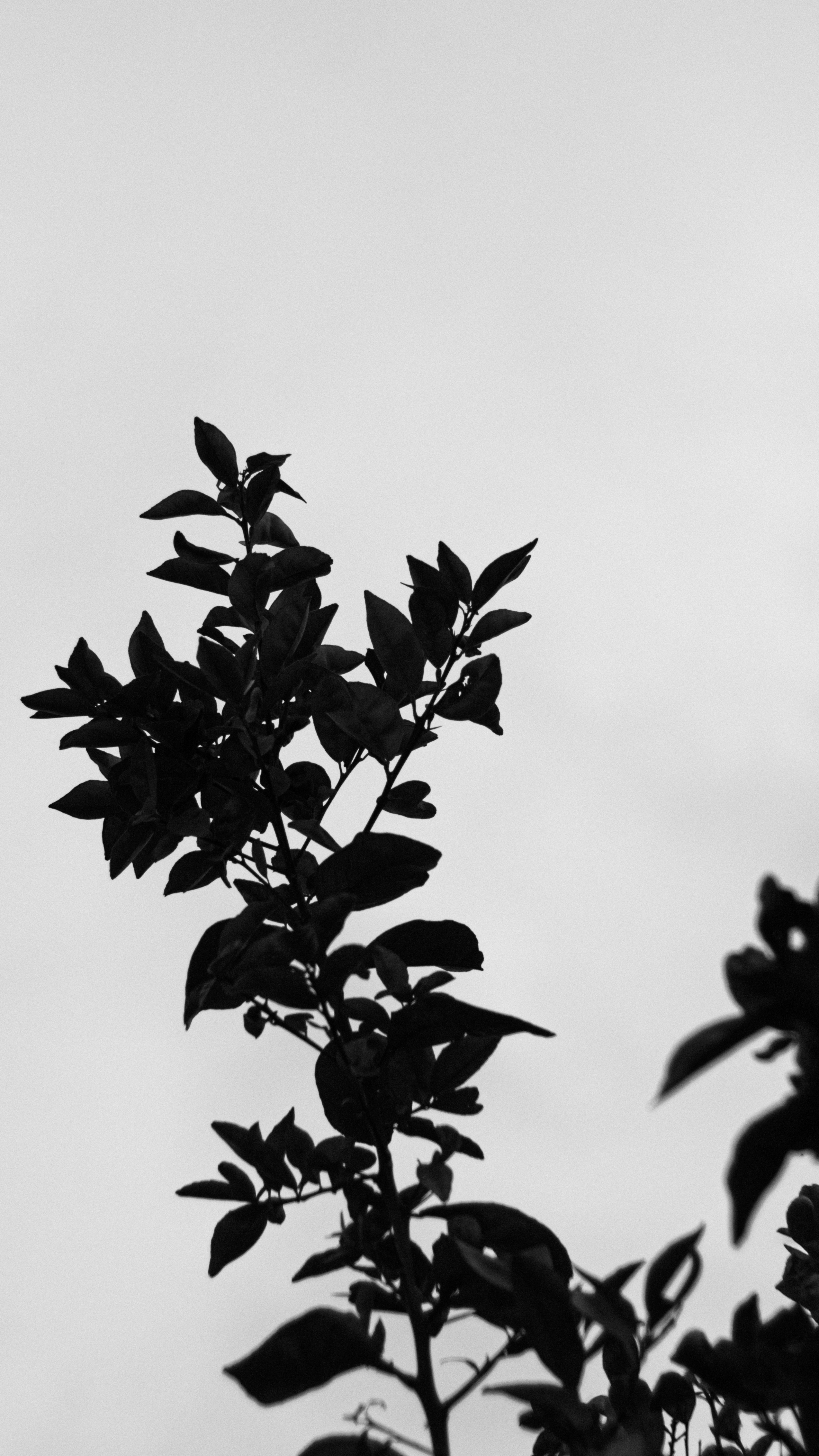 Photo by saintatelier