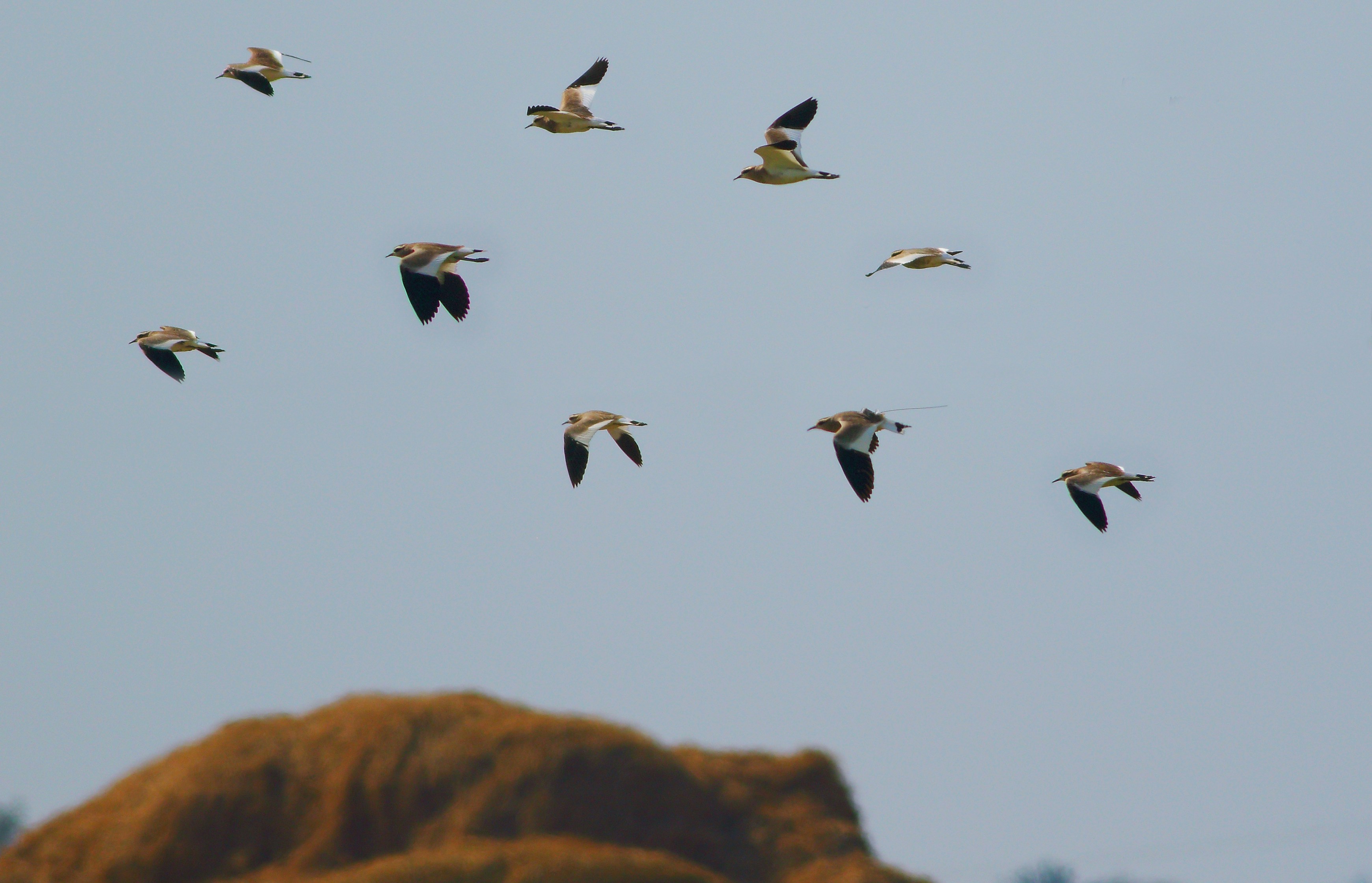 Photo by adeel1gujar2326