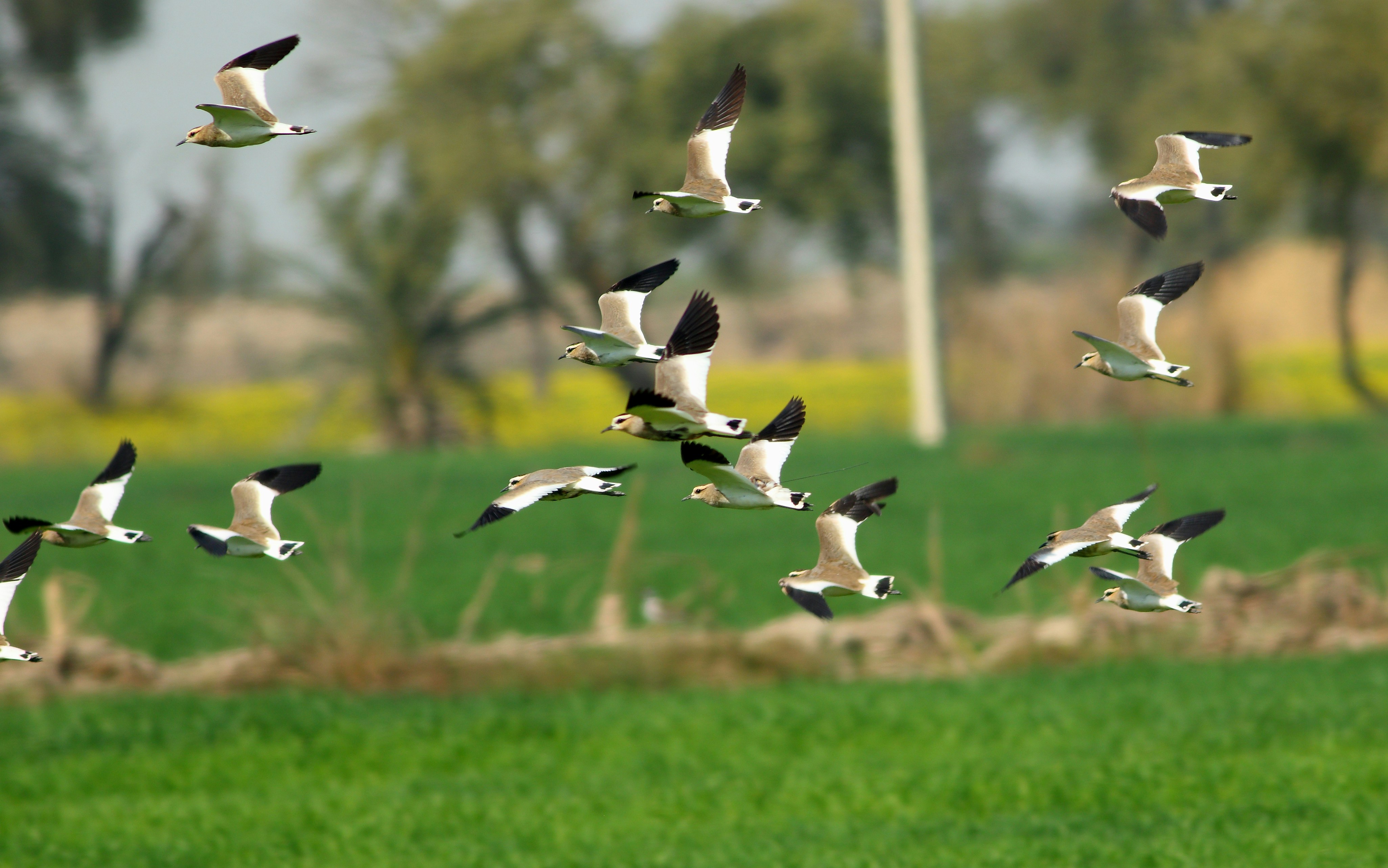 Photo by adeel1gujar2326