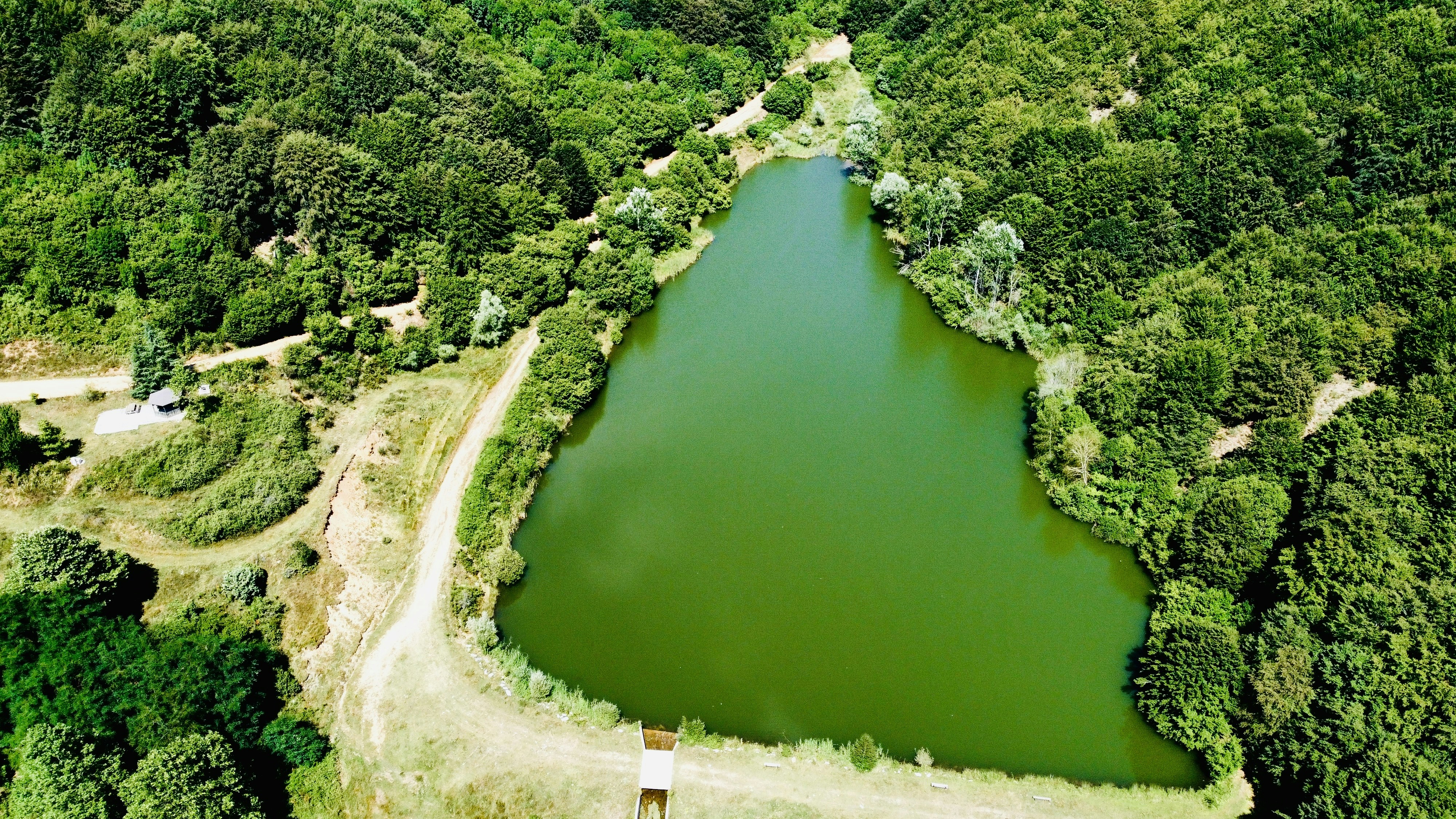 Photo by eliastsapaliaris