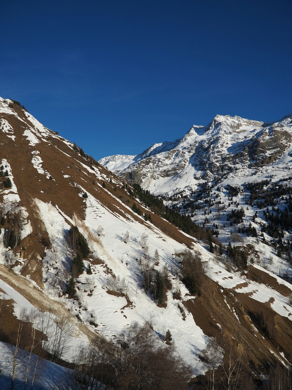 a snowy mountain side