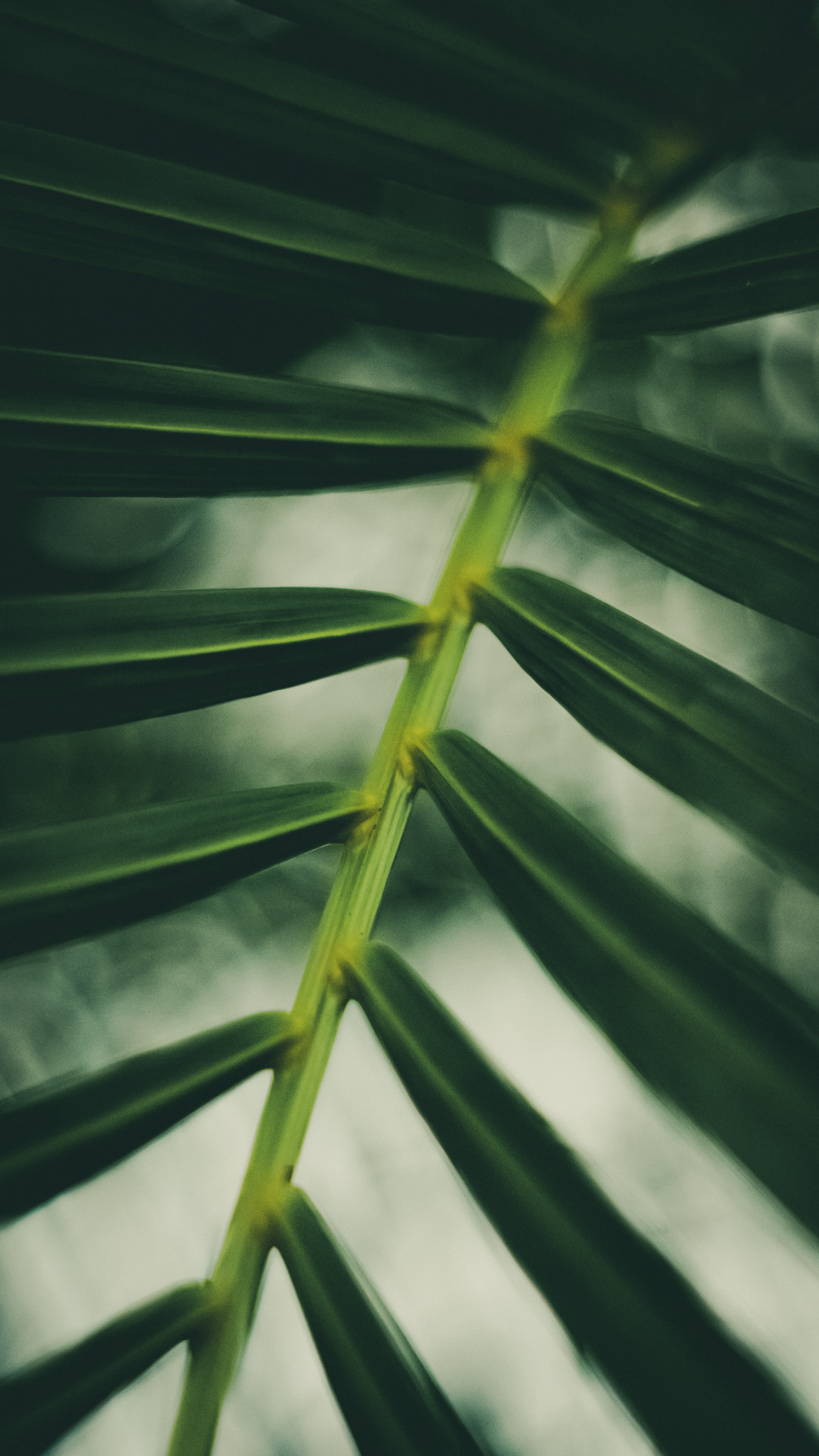 Photo by saintatelier