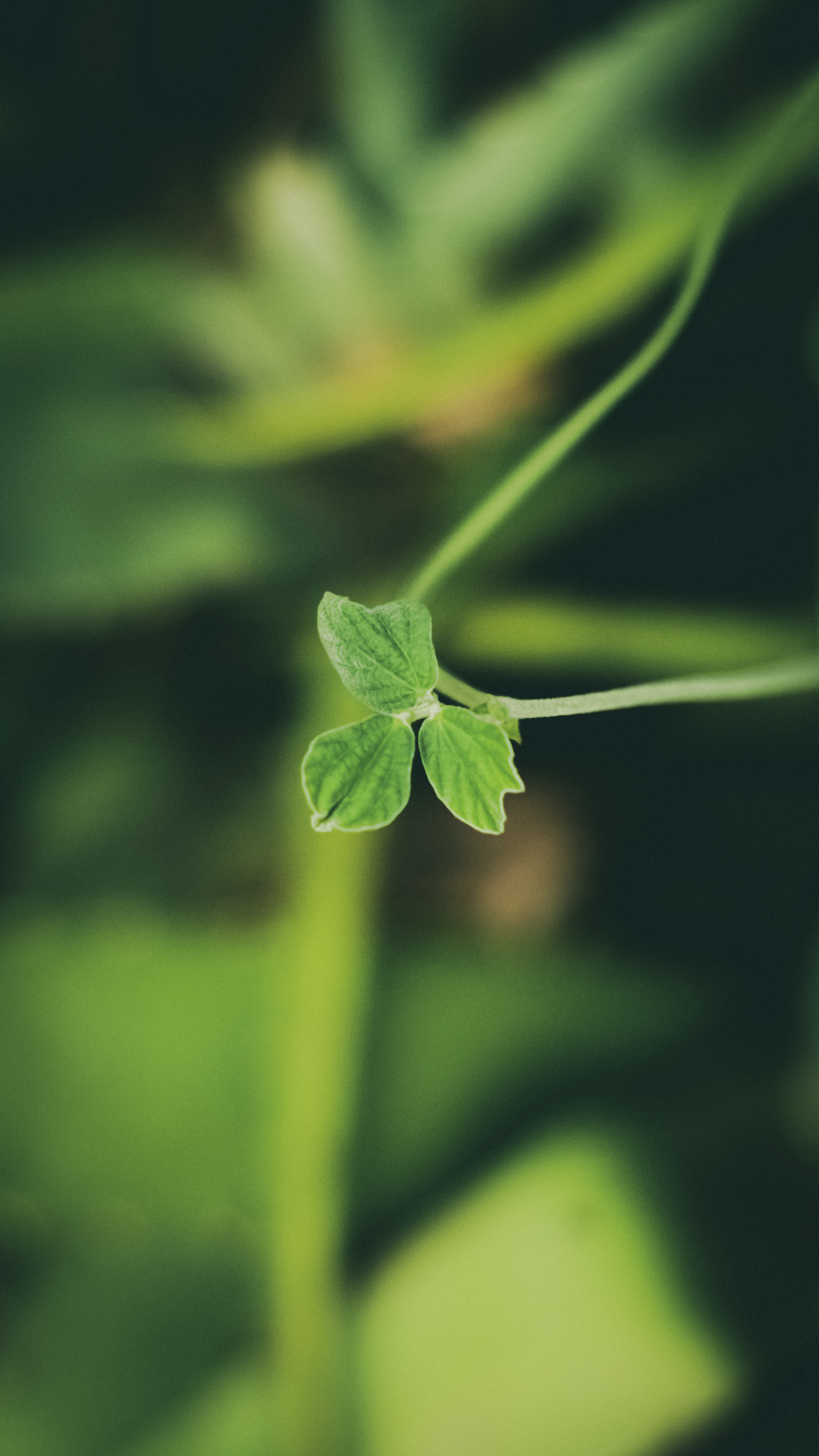 Photo by saintatelier